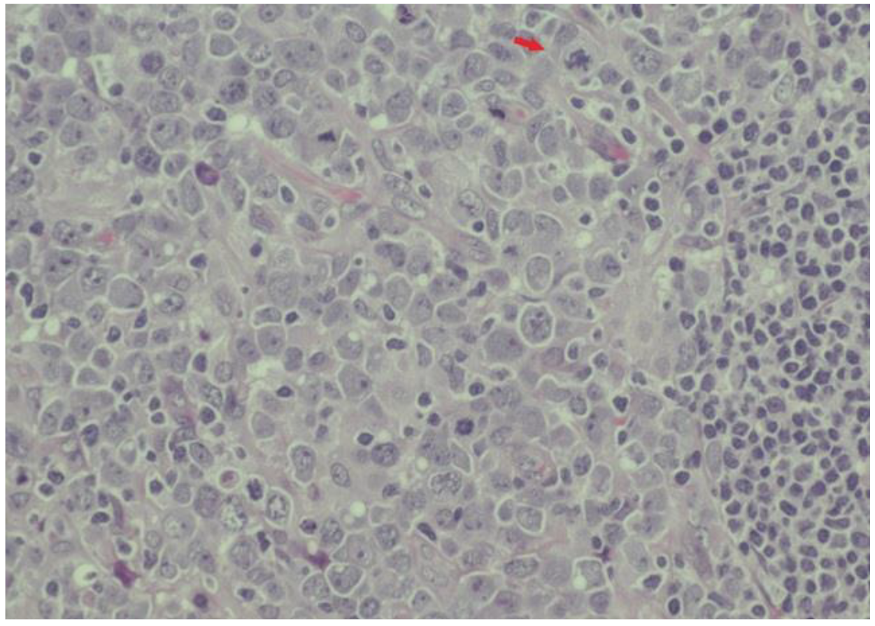 Medicina 59 00157 g003