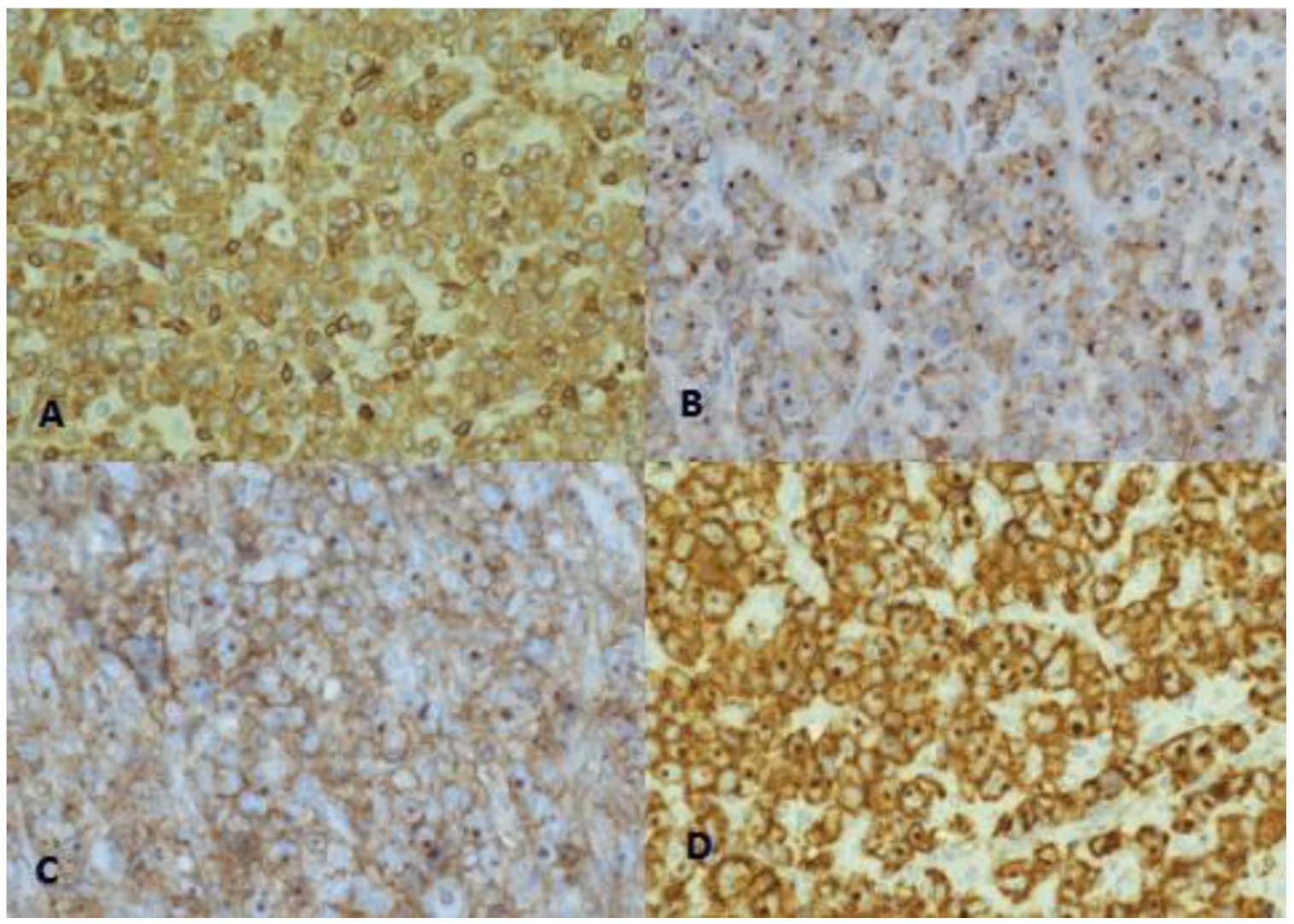 Medicina 59 00157 g004