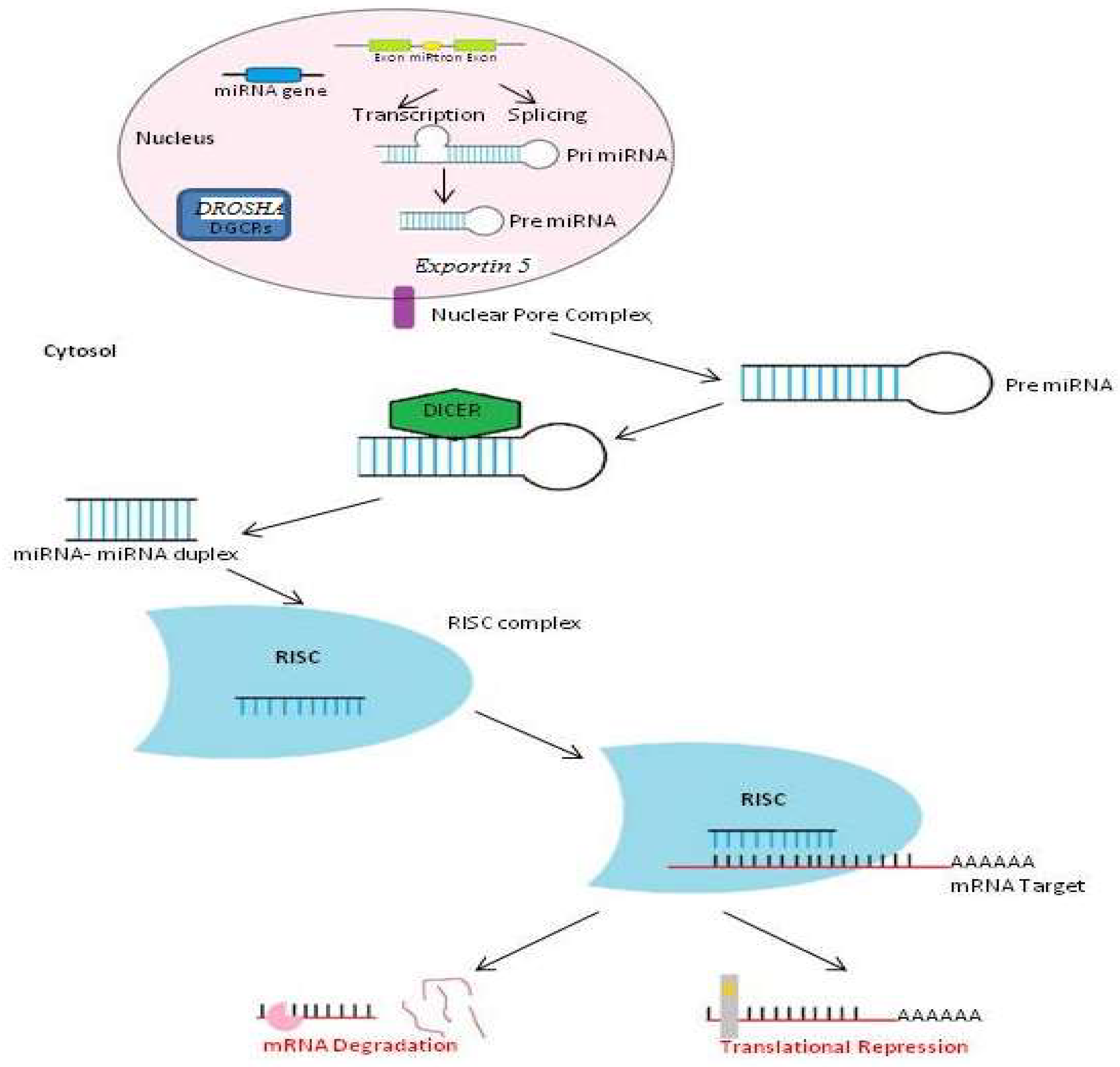 Medicina 59 00173 g001