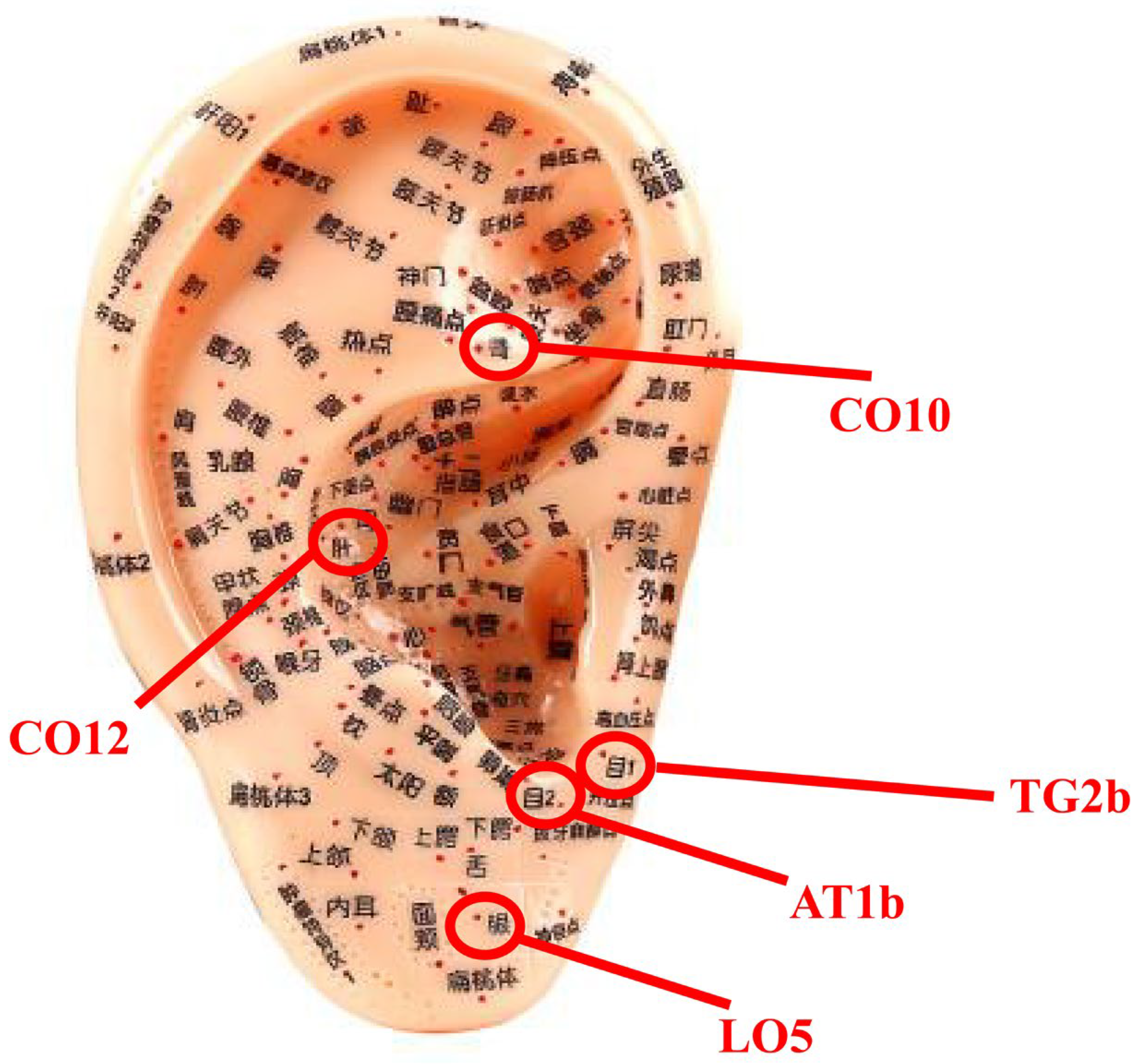 Medicina 59 00177 g002