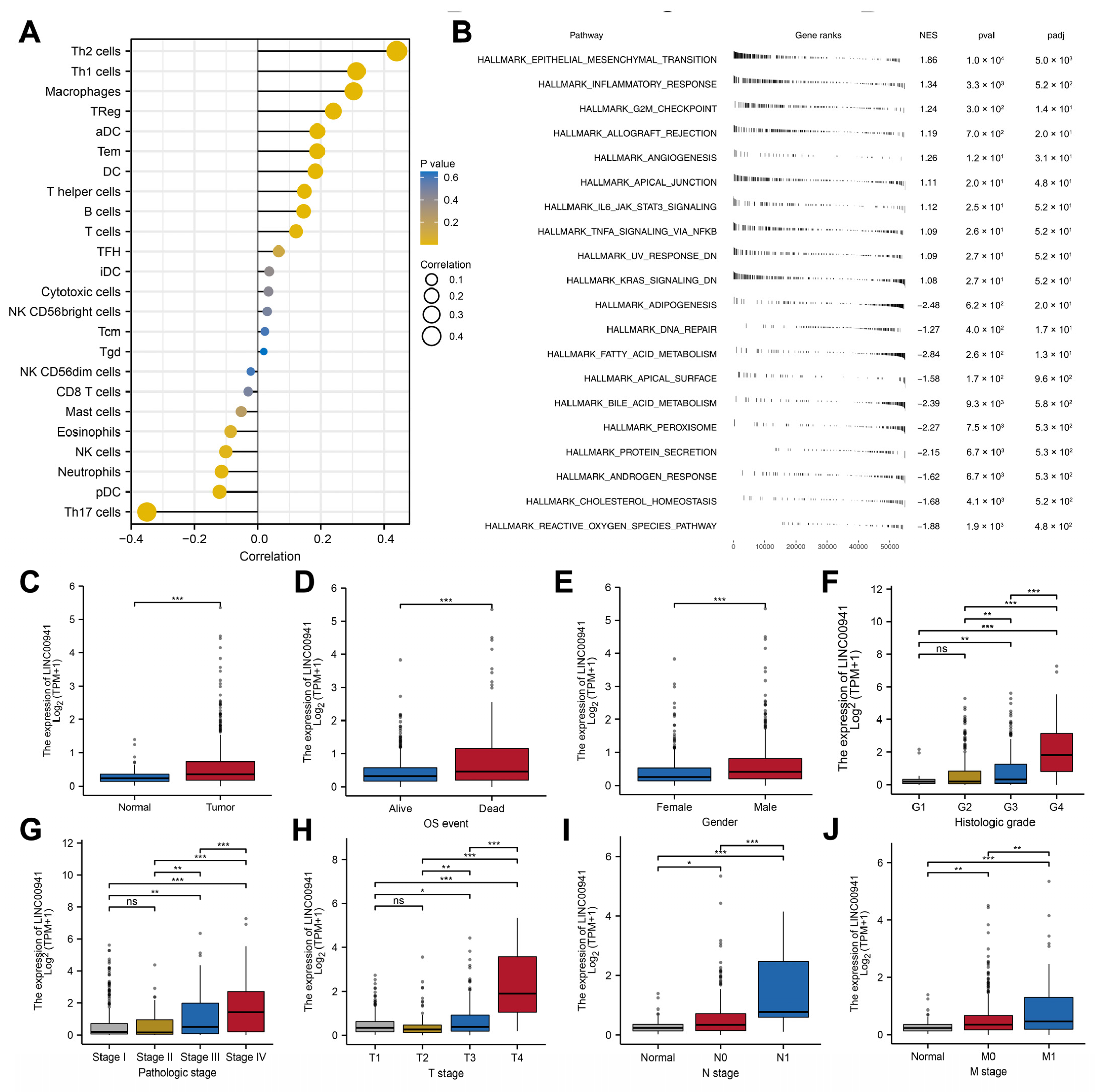 Medicina 59 00187 g007
