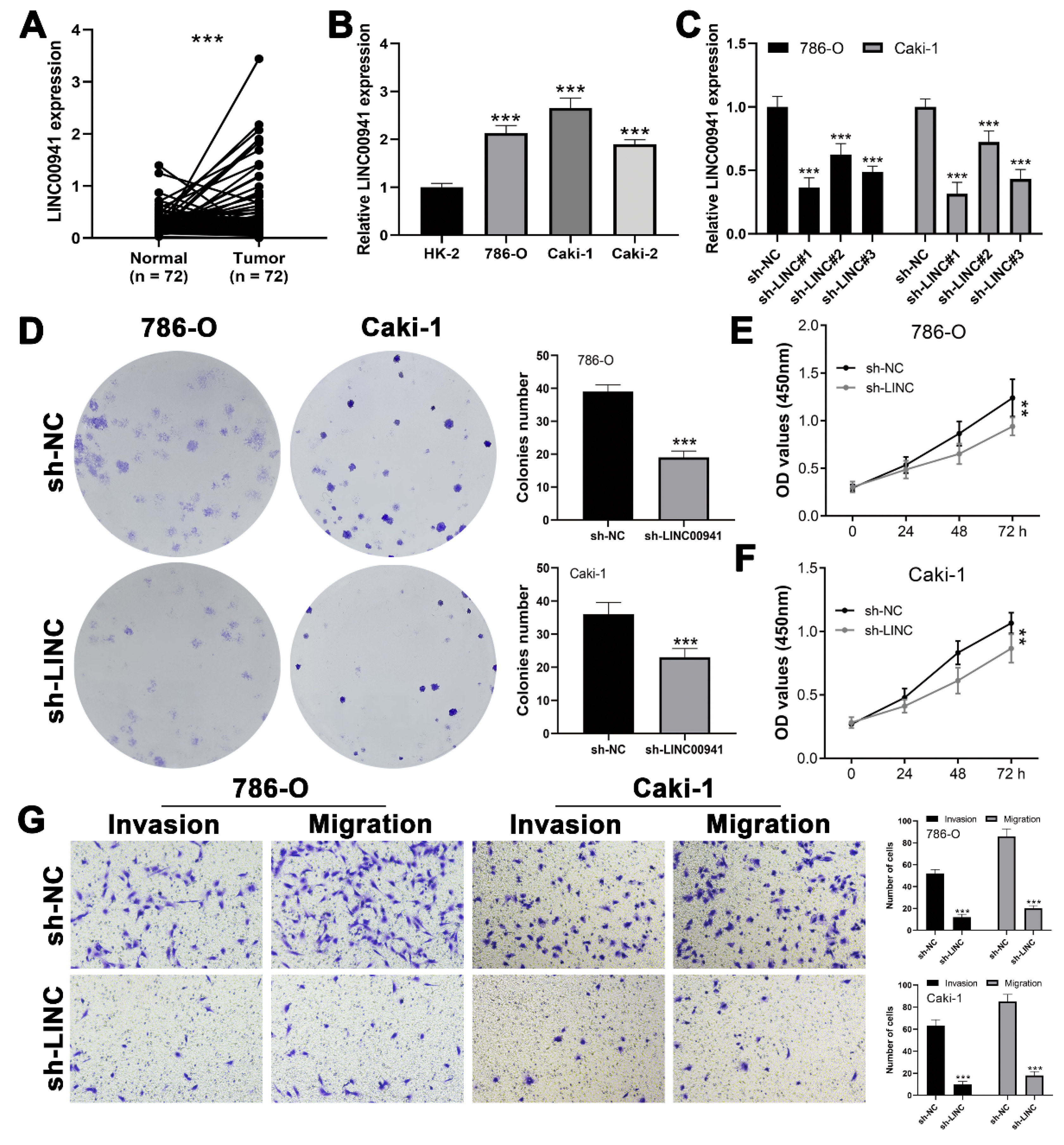 Medicina 59 00187 g008