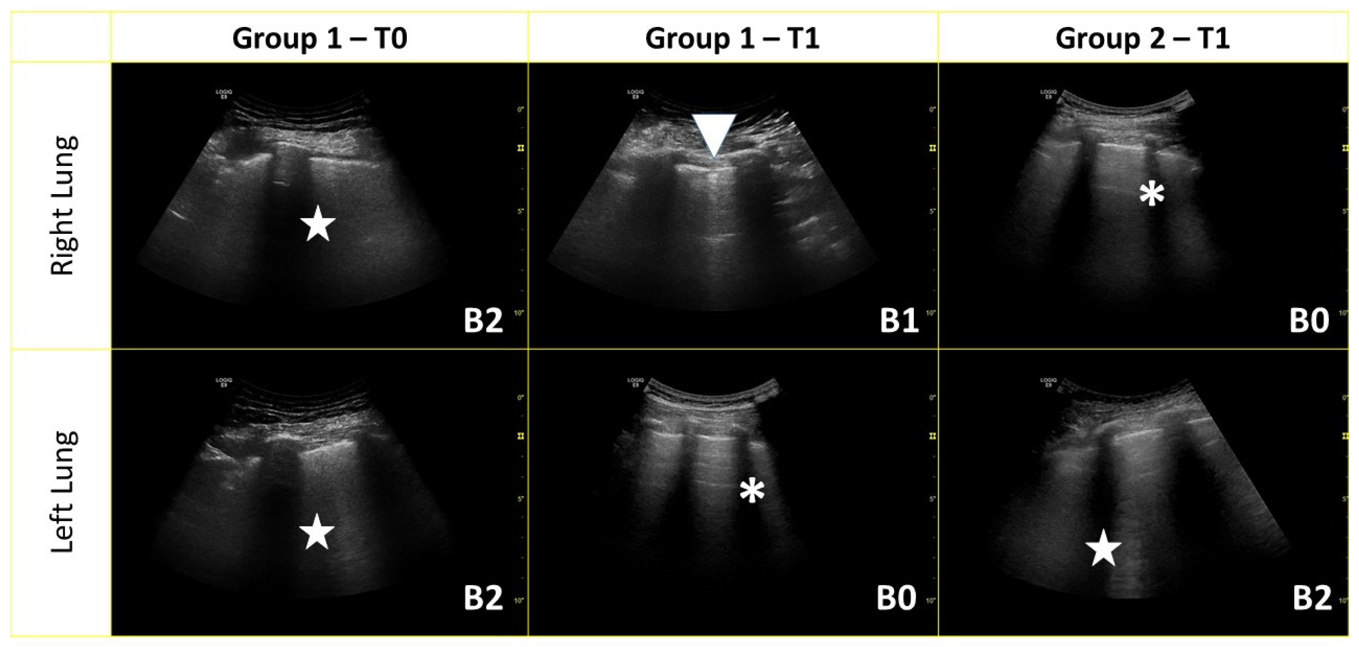 Medicina 59 00203 g001