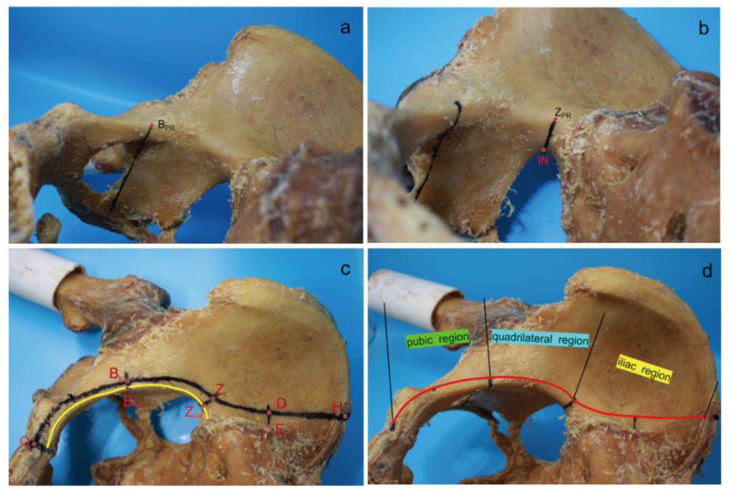 Medicina 59 00211 g003