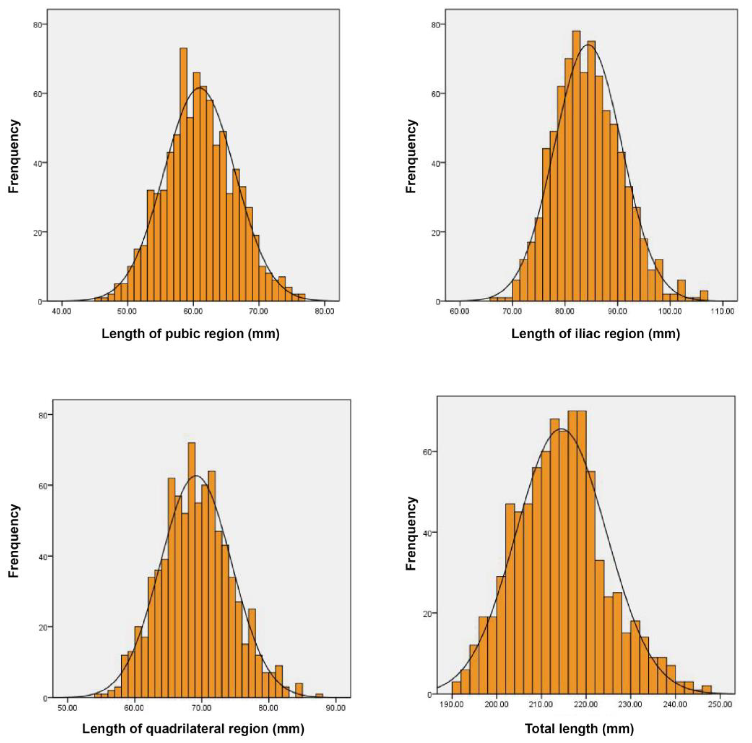 Medicina 59 00211 g006