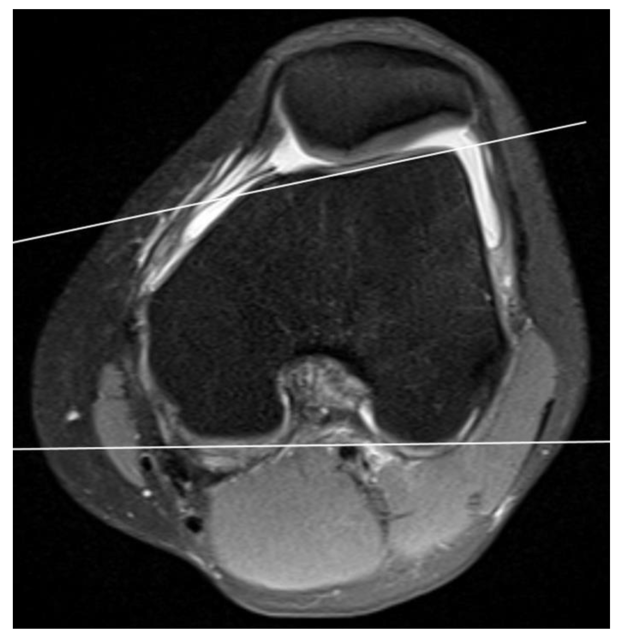 Medicina 59 00213 g001
