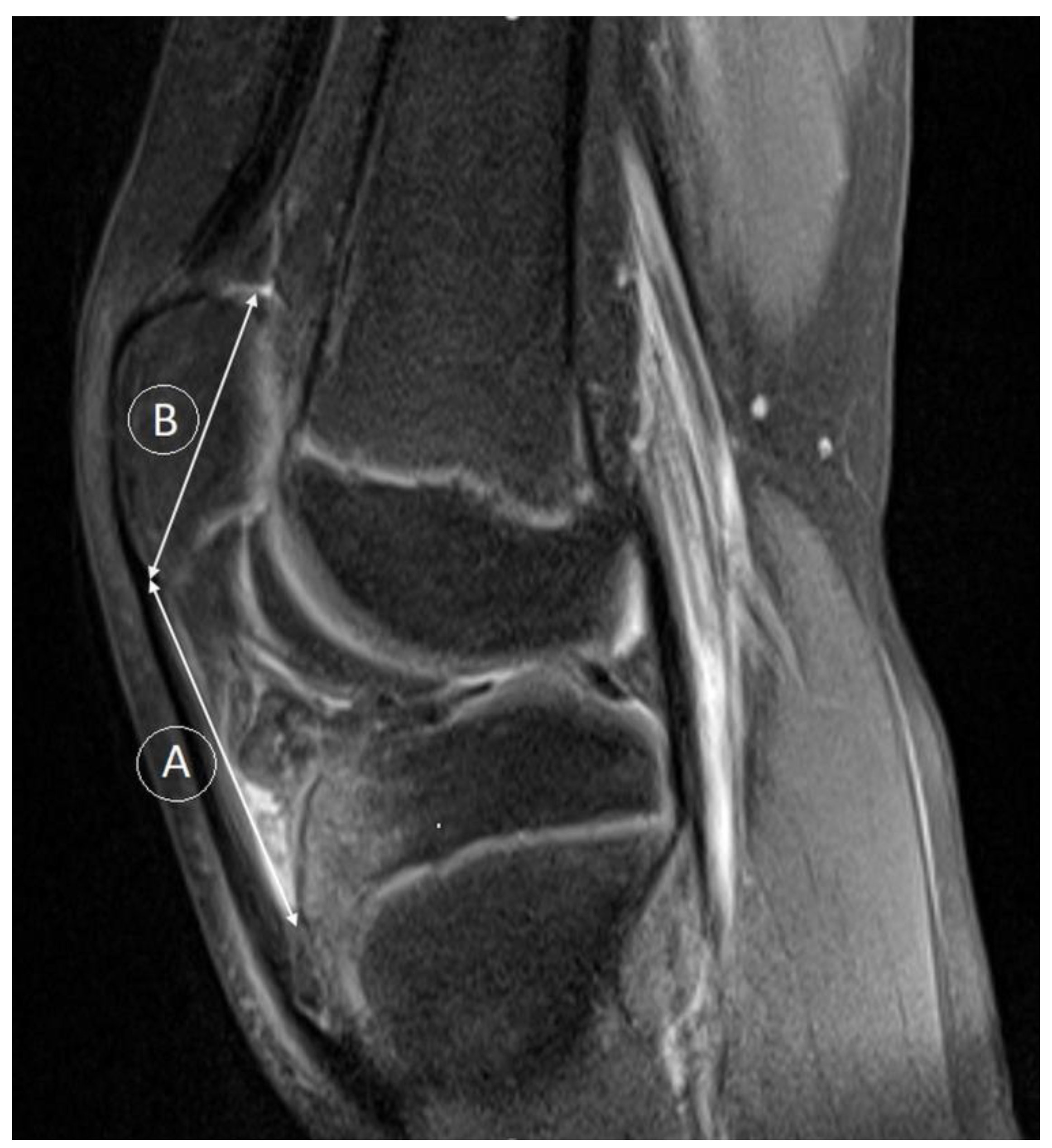 Medicina 59 00213 g003