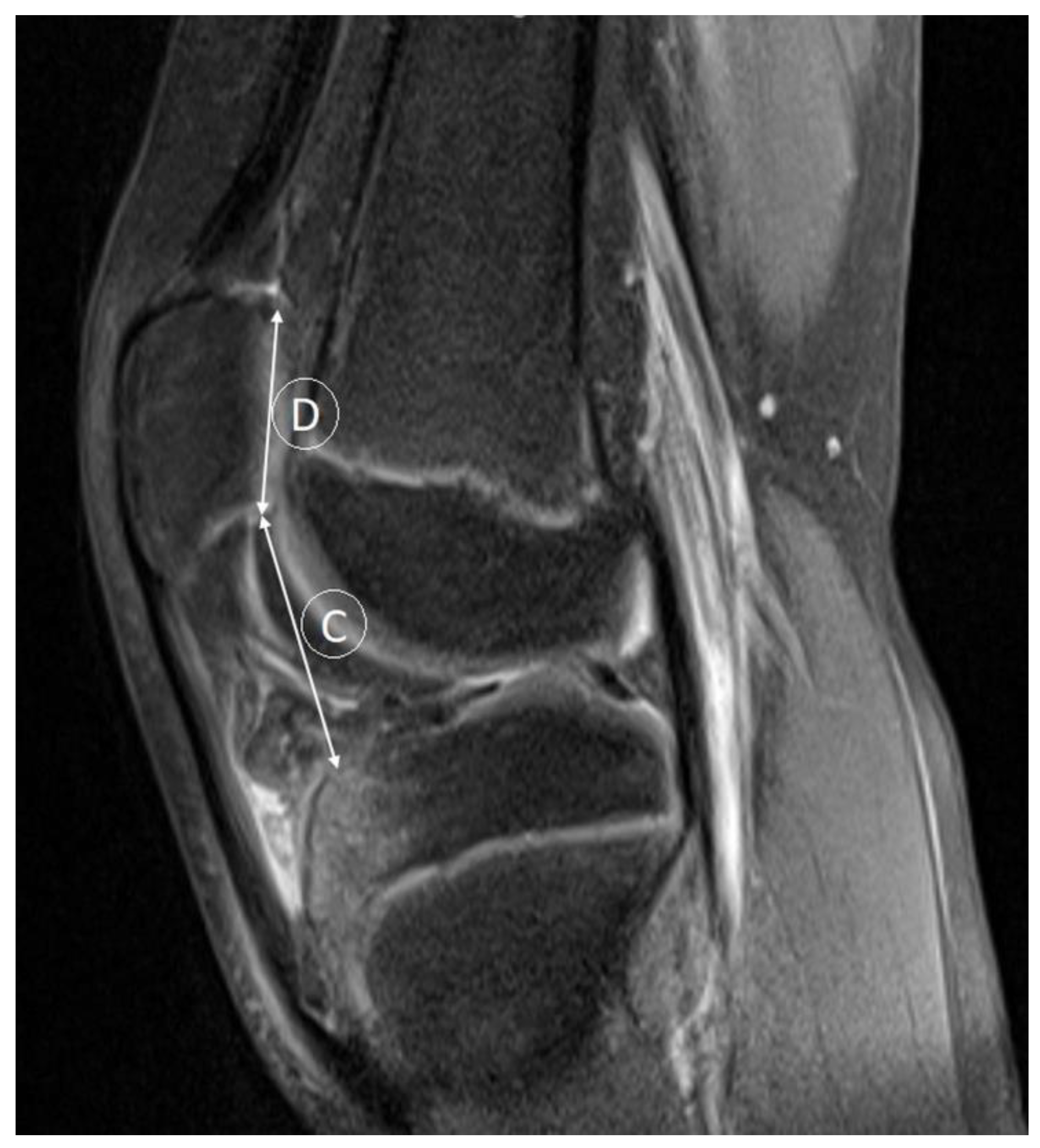 Medicina 59 00213 g004