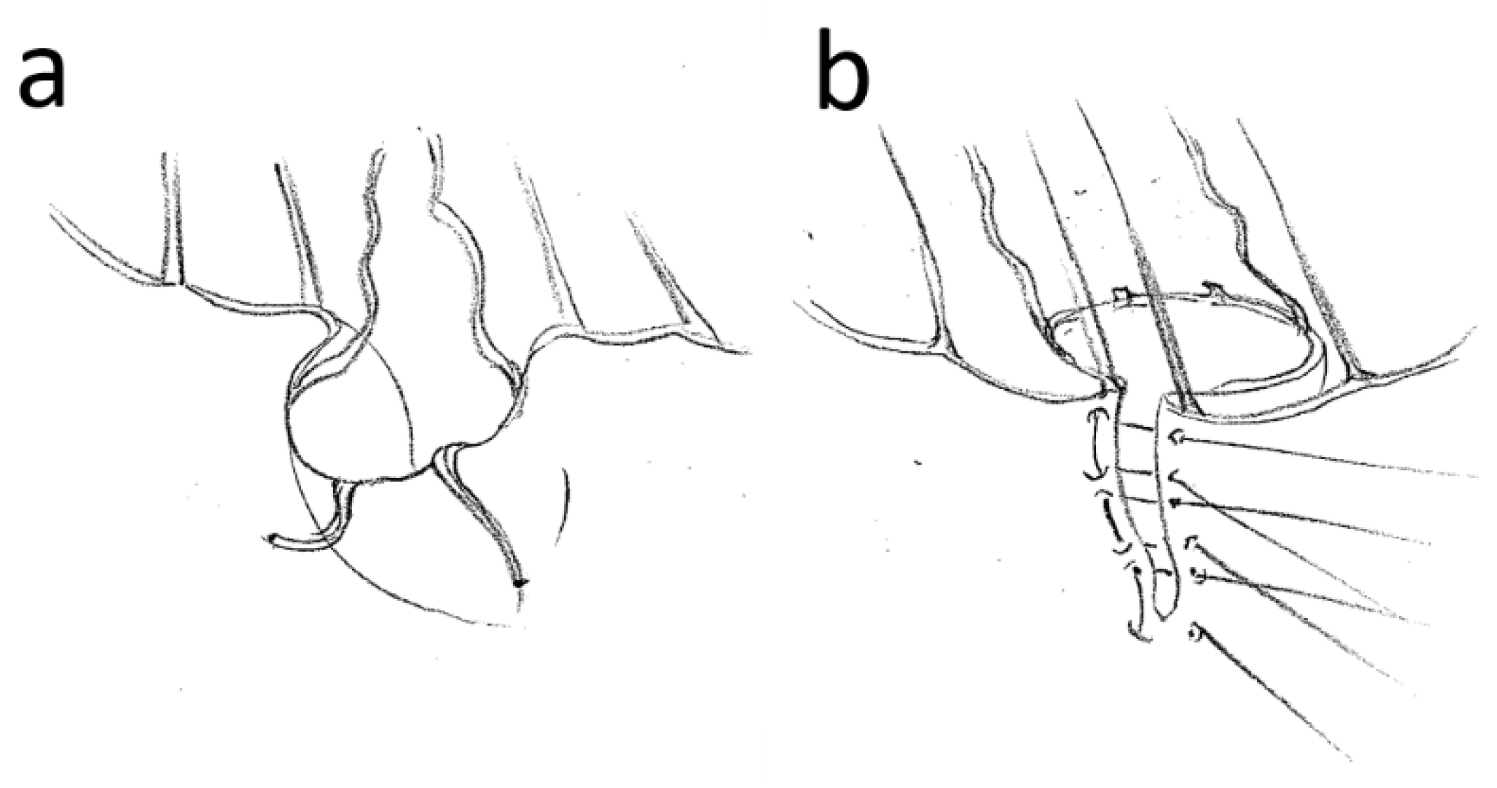Medicina 59 00218 g002