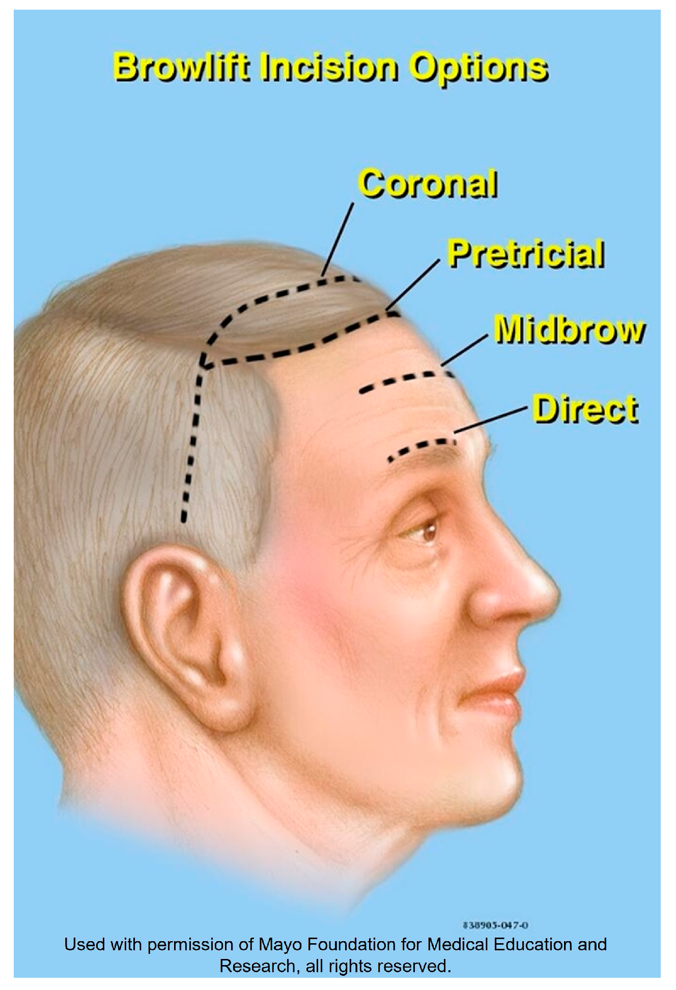 Medicina 59 00230 g013