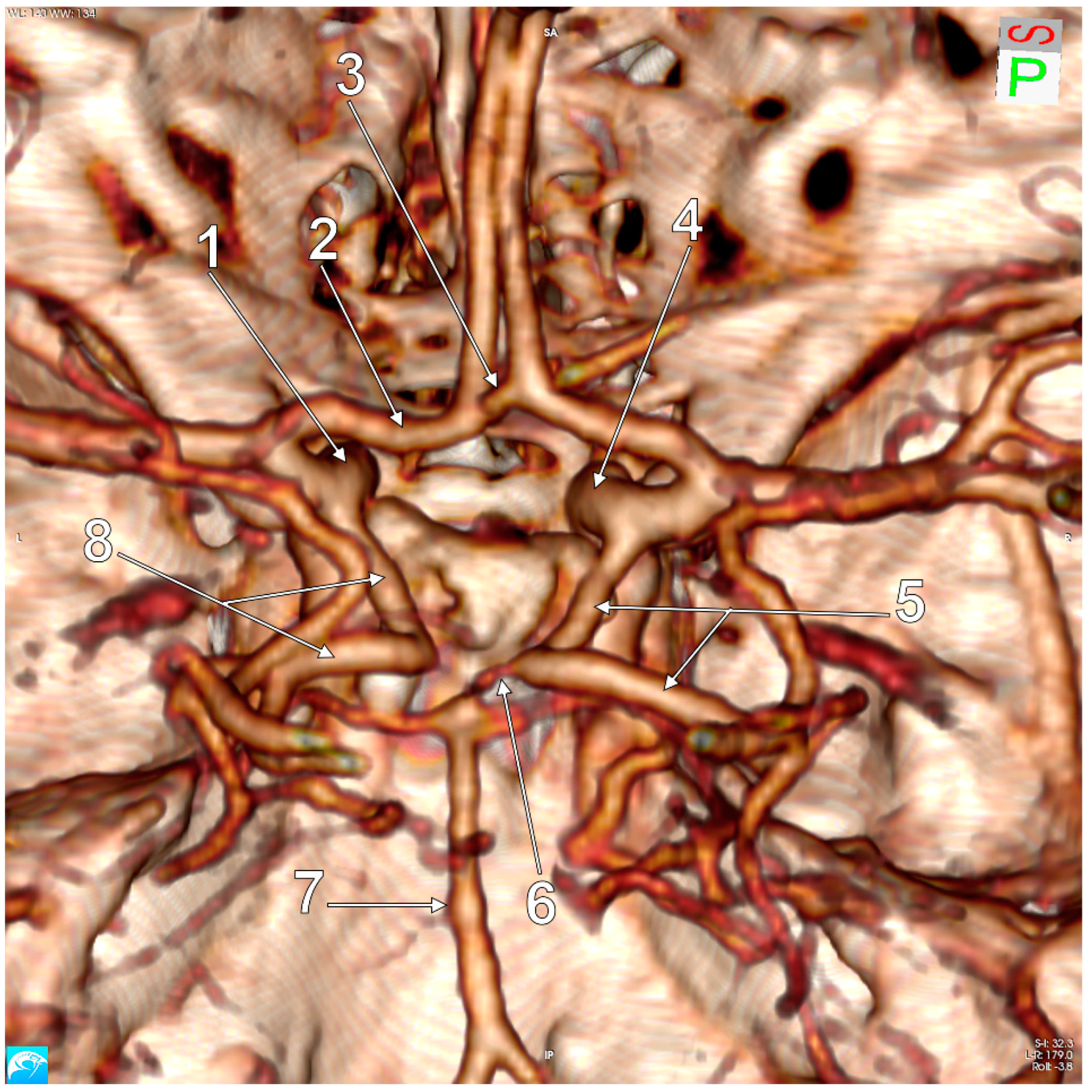 Medicina 59 00231 g004