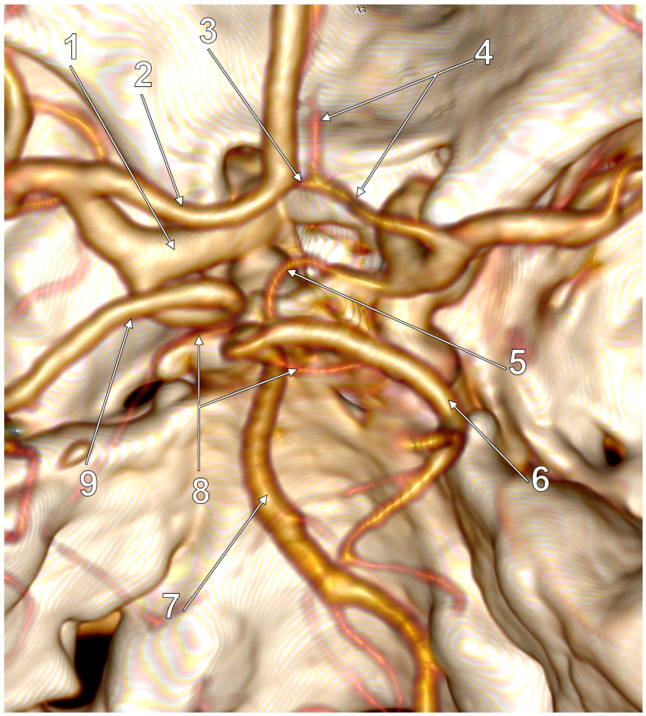 Medicina 59 00231 g007