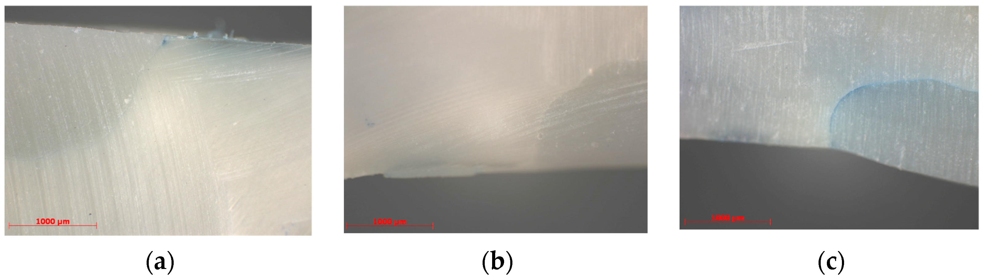 Medicina 59 00278 g001