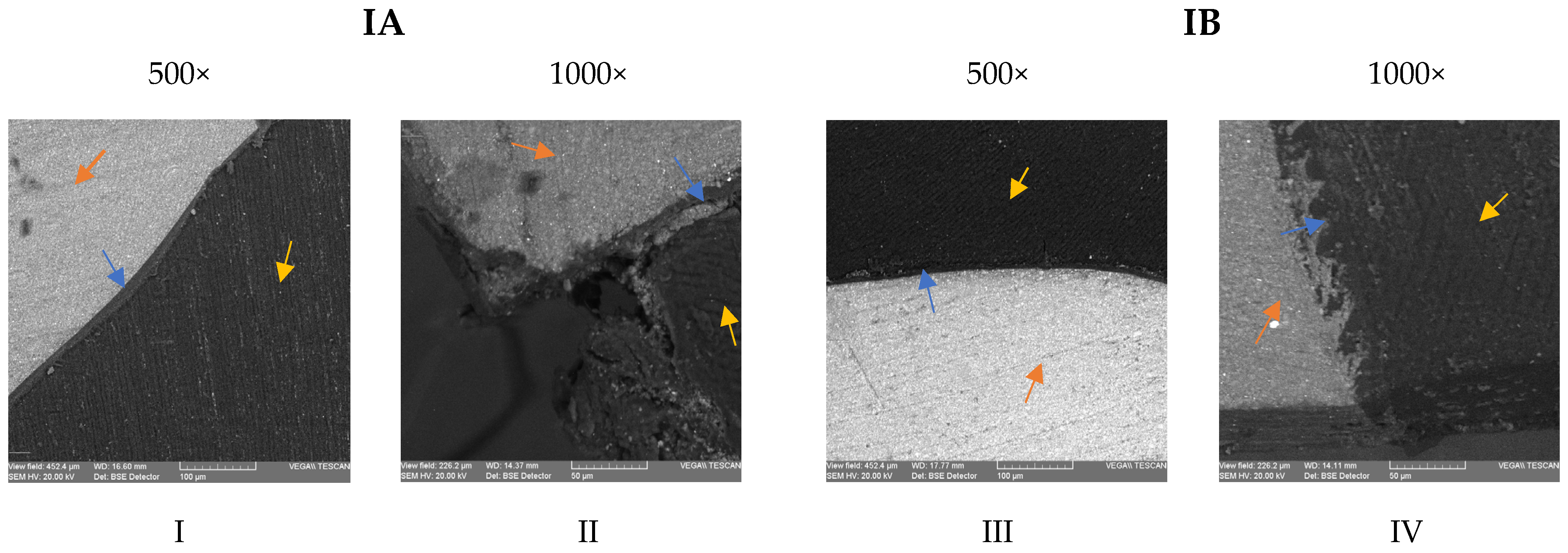 Medicina 59 00278 g003a