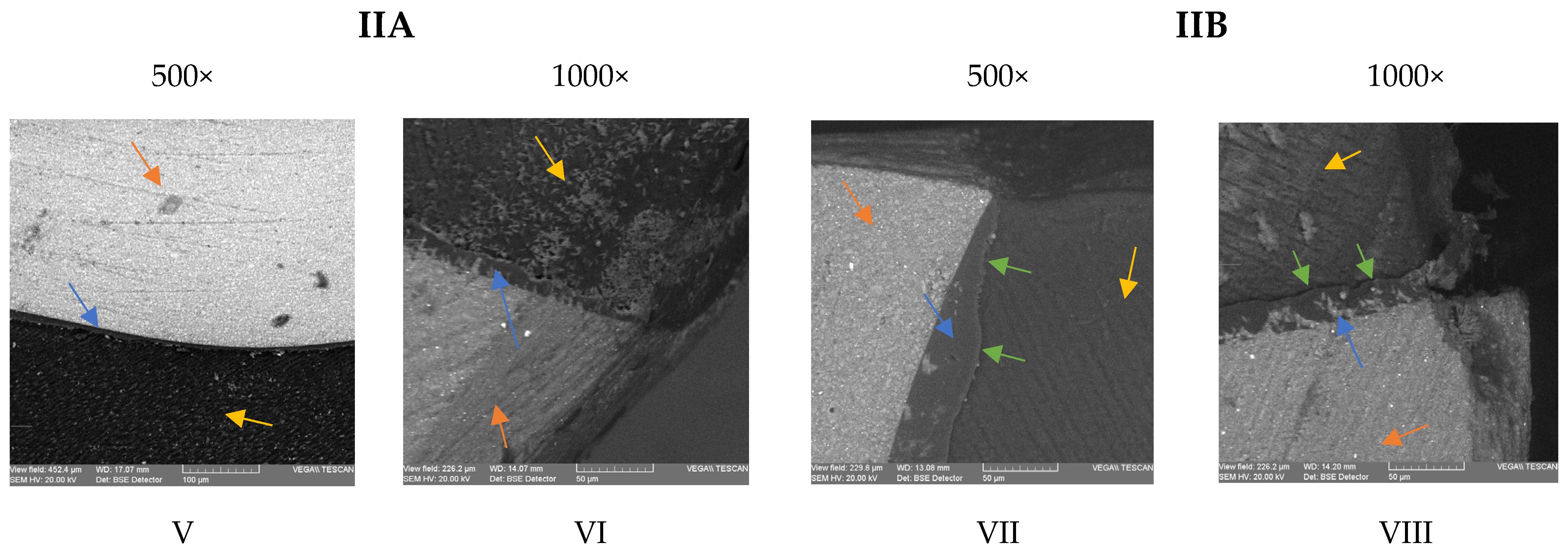 Medicina 59 00278 g003b