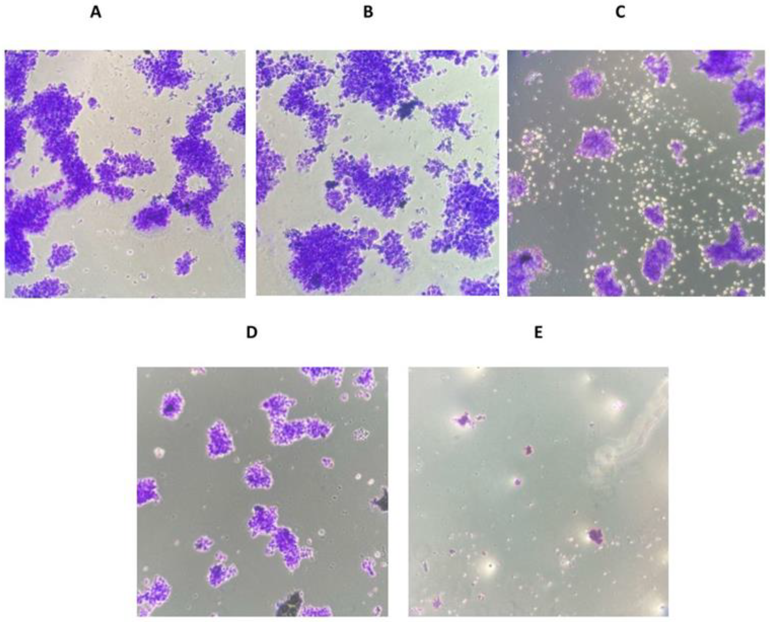 Medicina 59 00286 g003