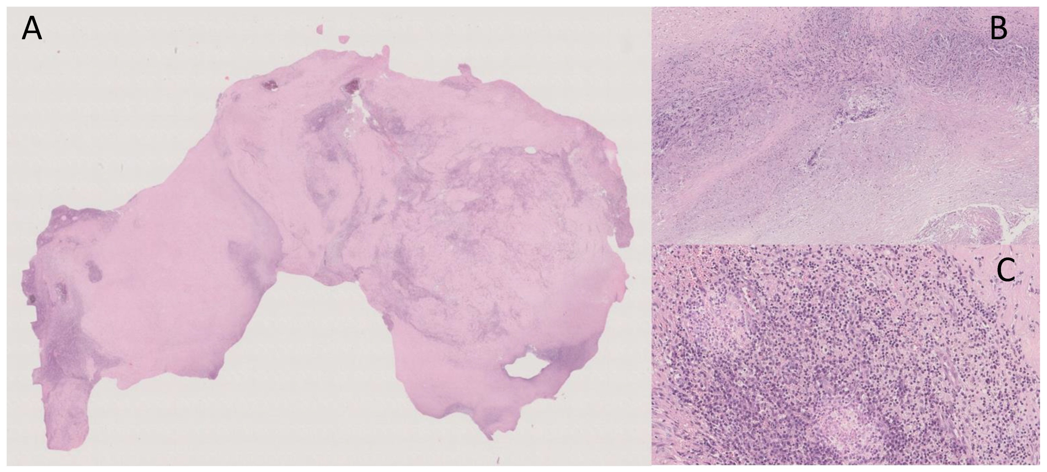 Medicina 59 00293 g003