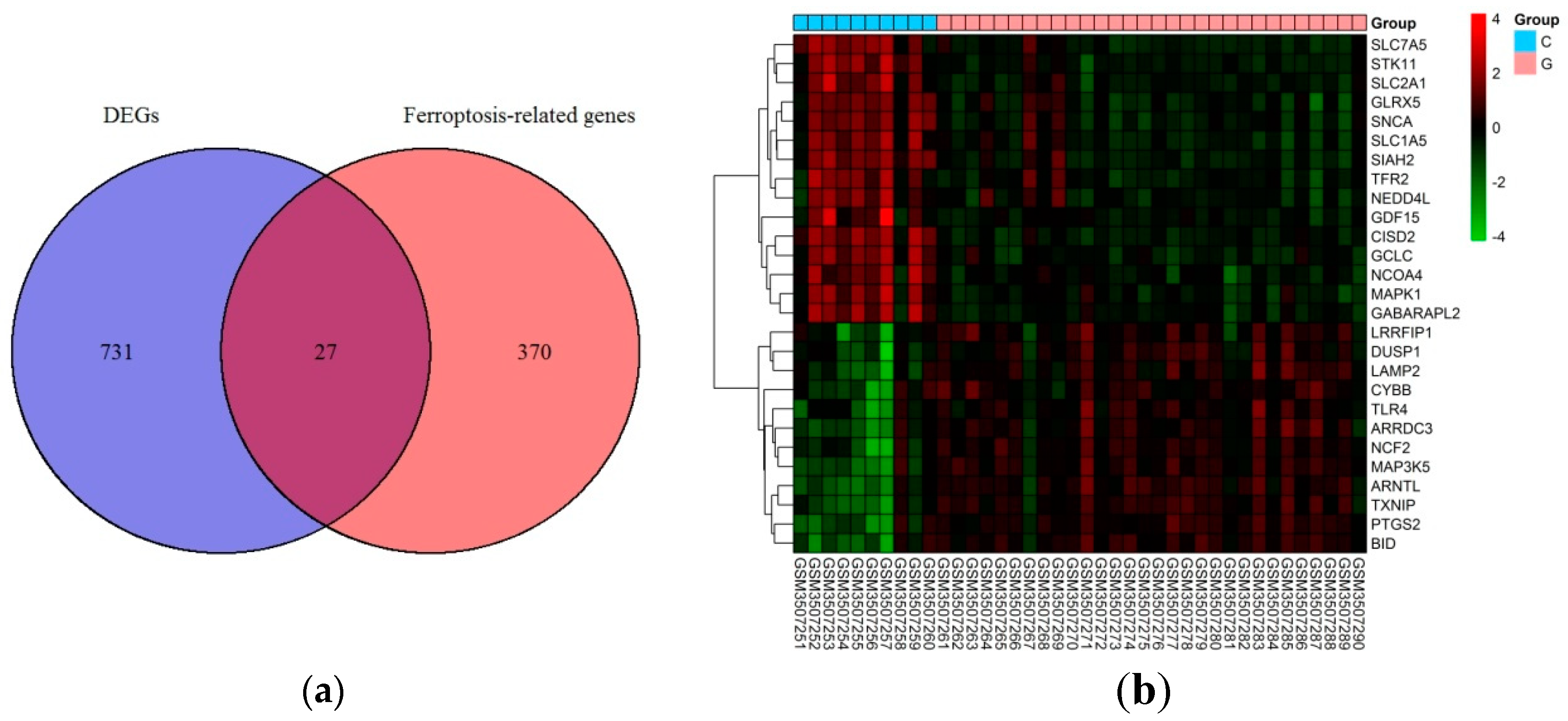 Medicina 59 00297 g001