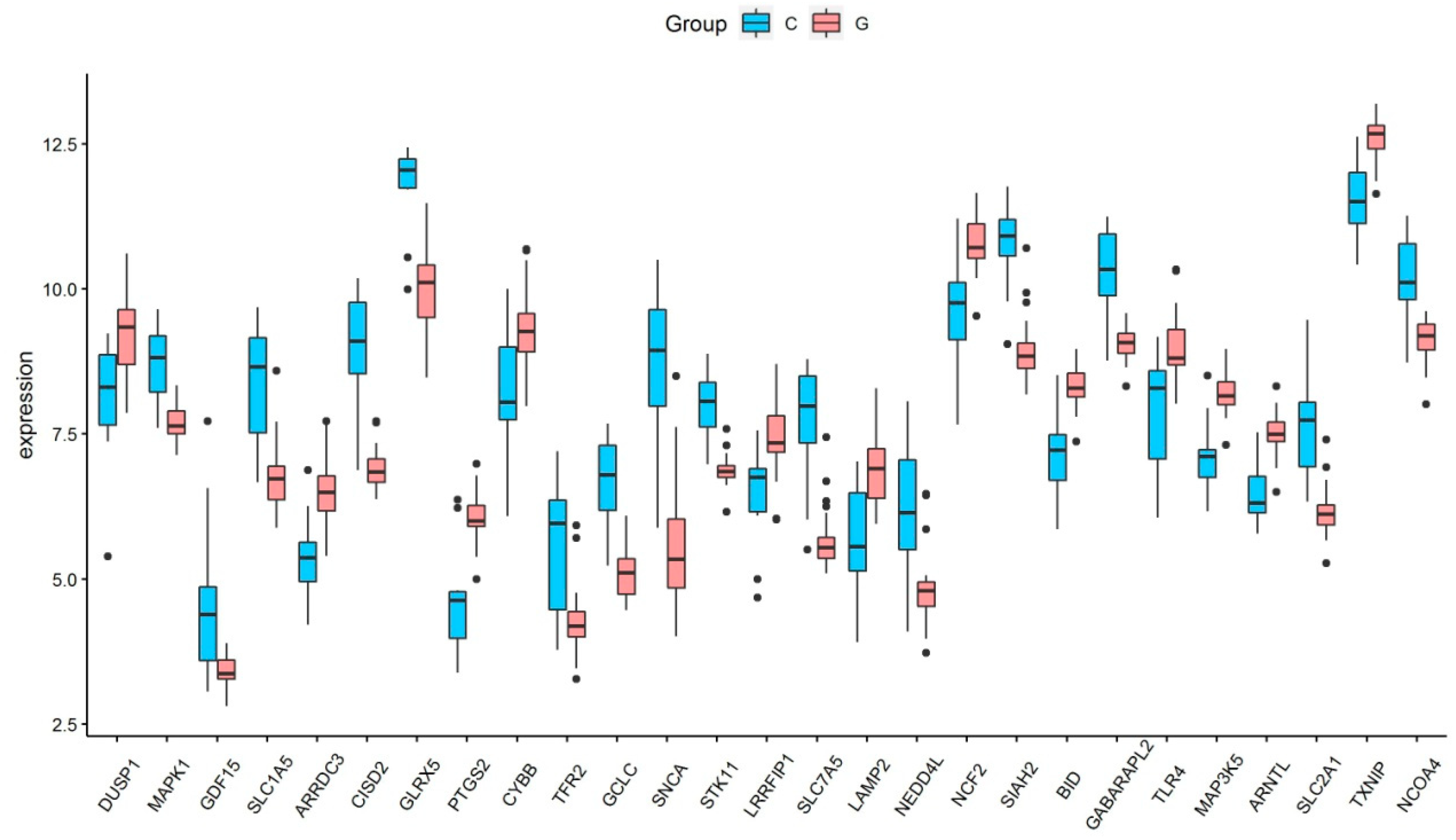 Medicina 59 00297 g002