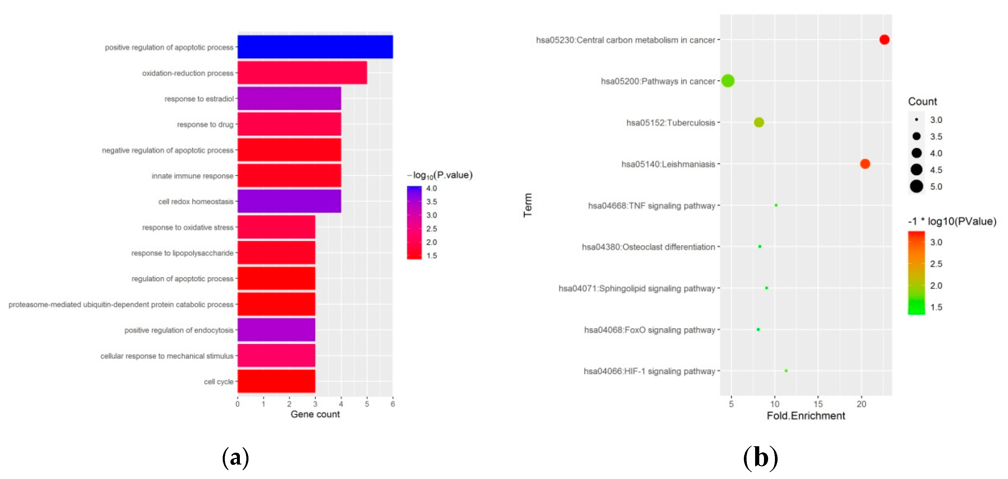 Medicina 59 00297 g003