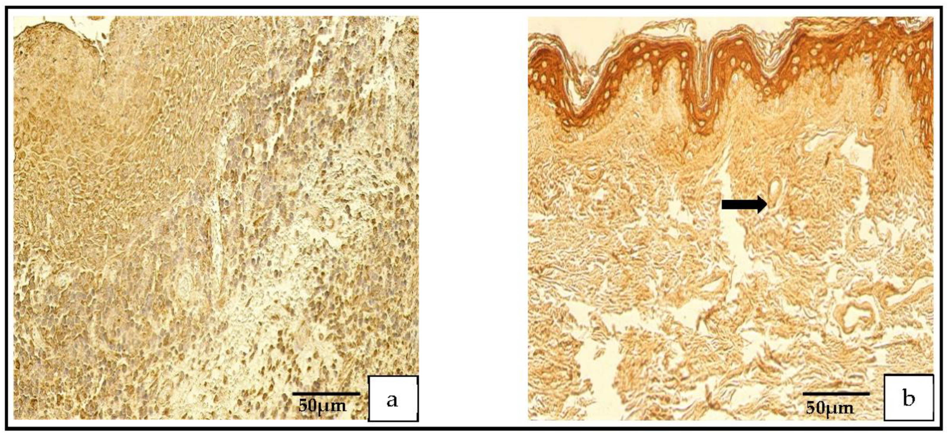 Medicina 59 00306 g003