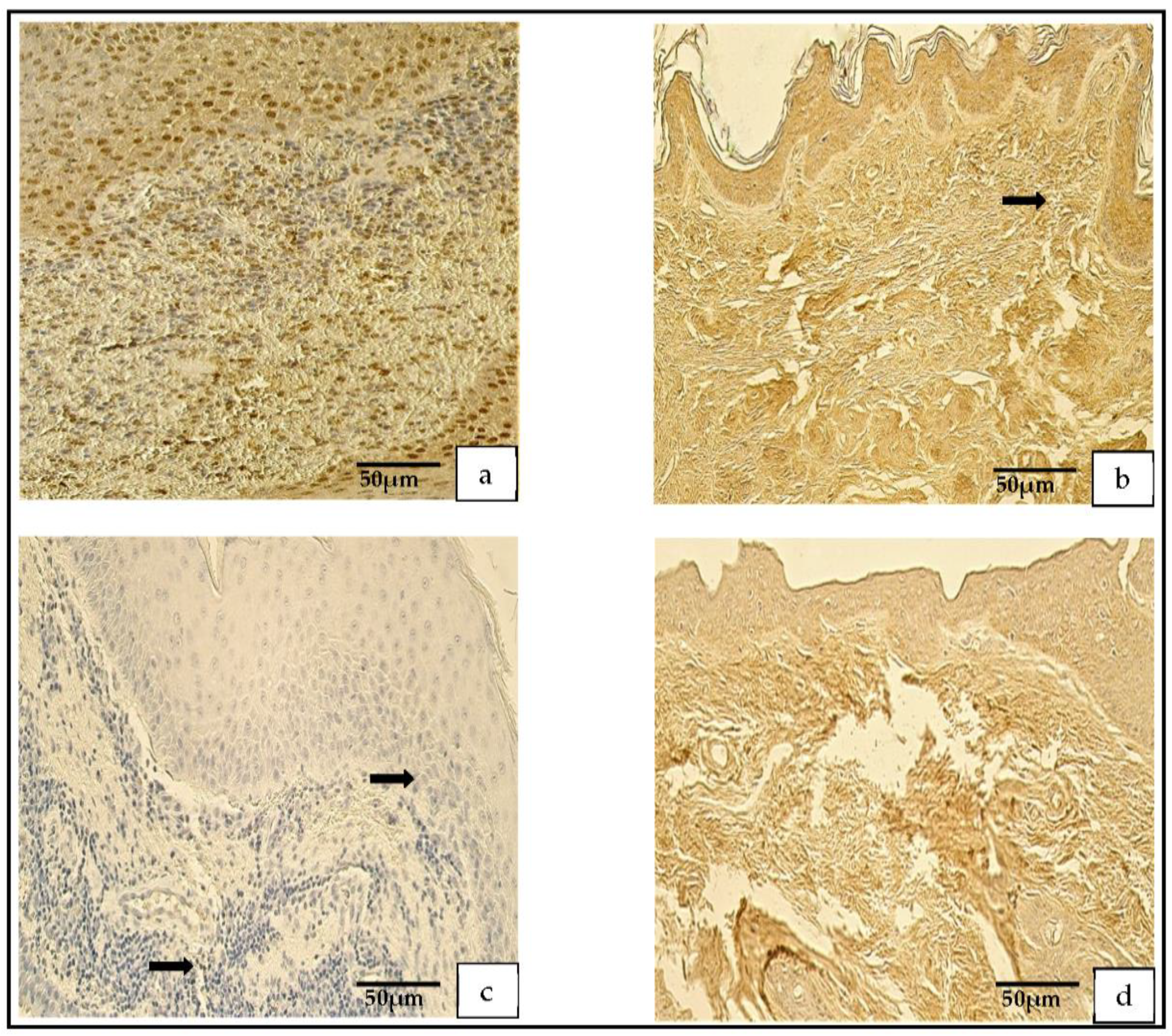 Medicina 59 00306 g004