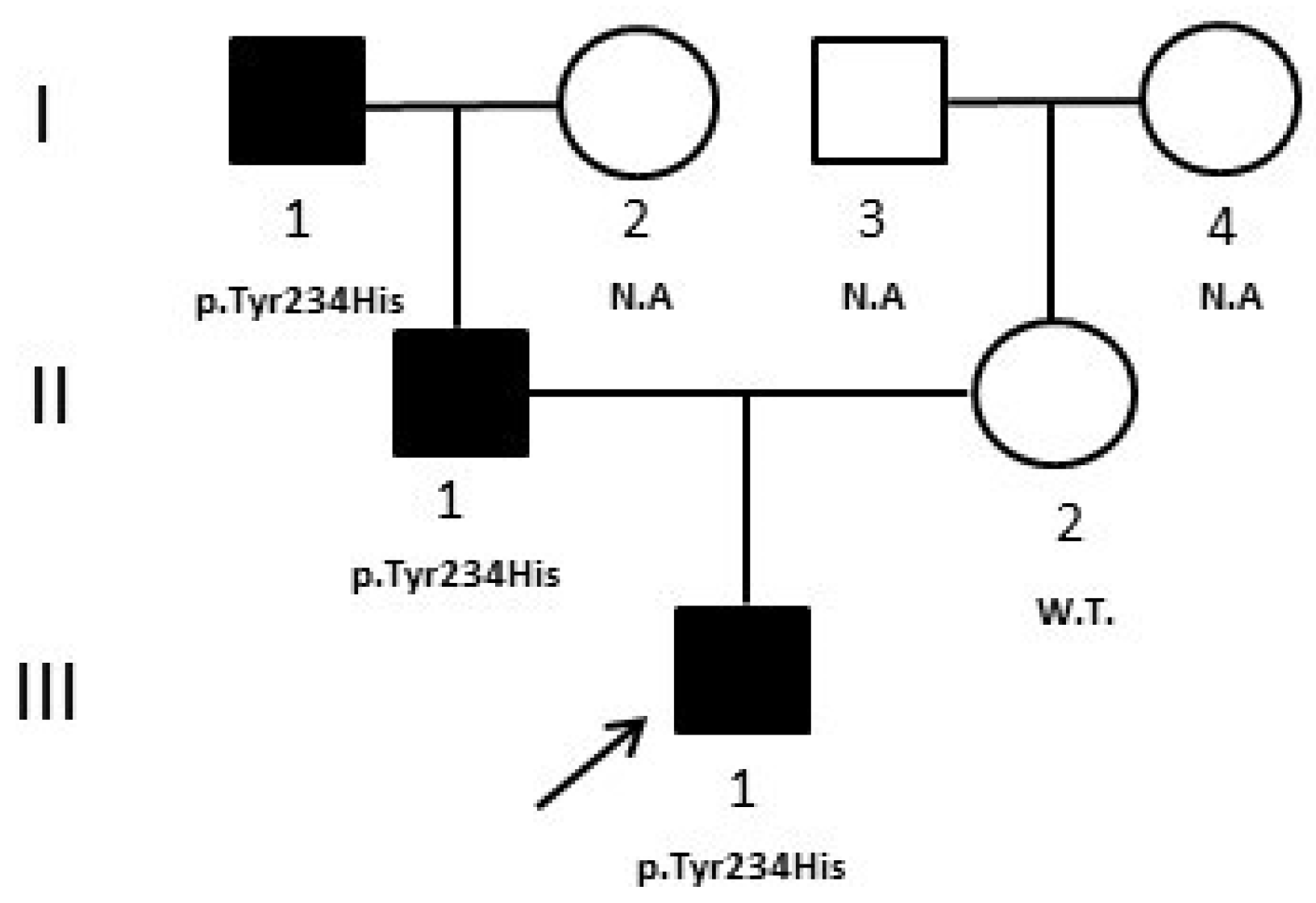 Medicina 59 00310 g002