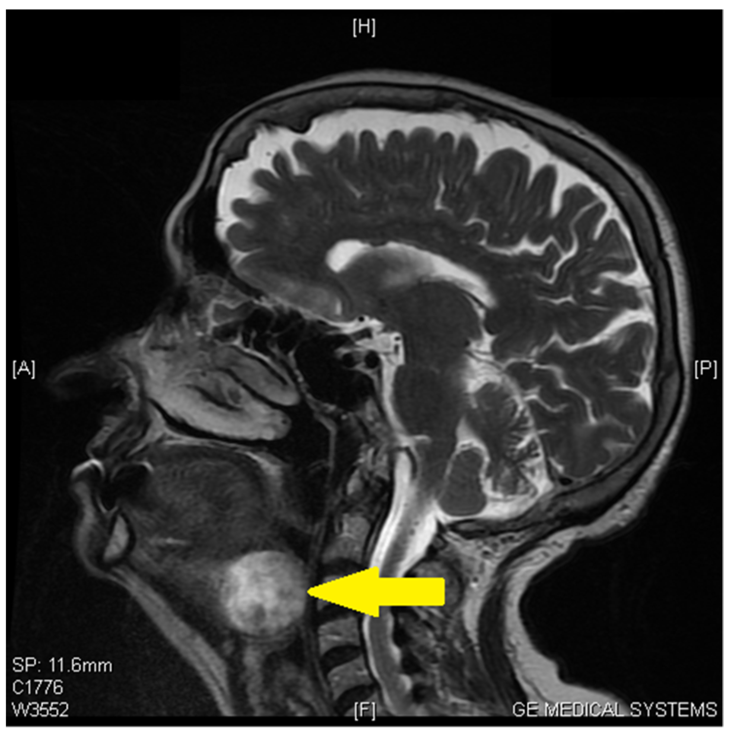 Medicina 59 00313 g002