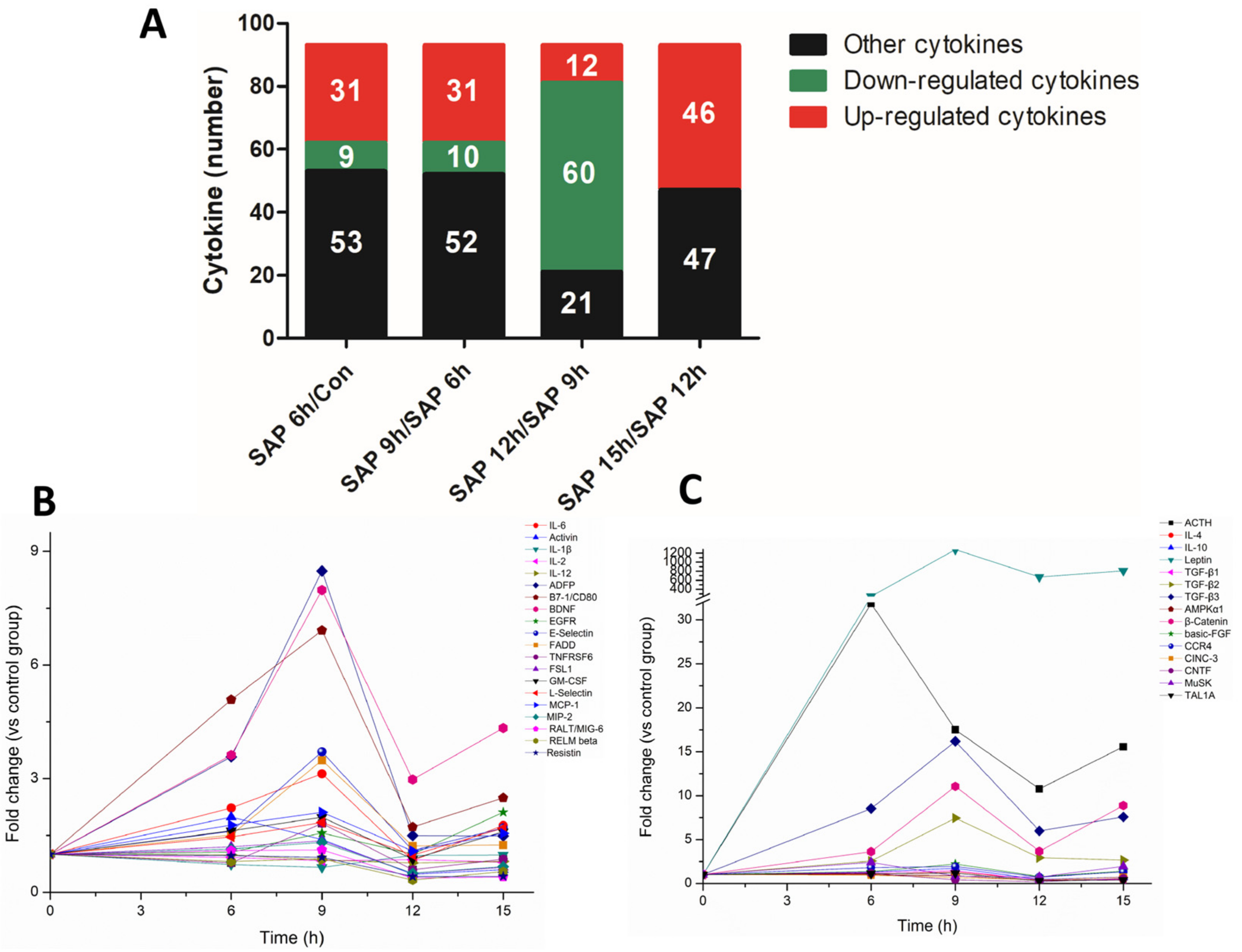 Medicina 59 00321 g004