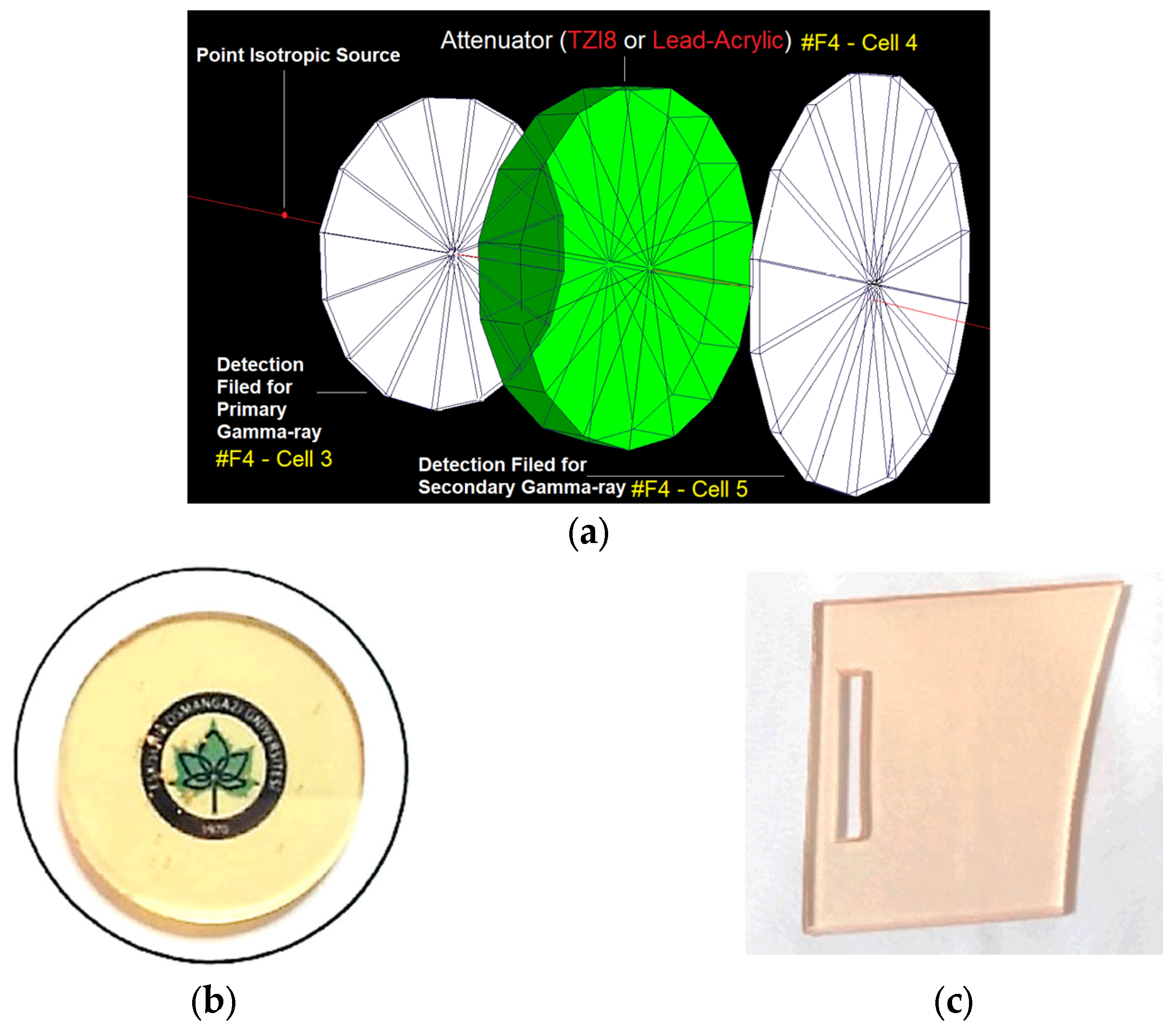 Medicina 59 00327 g005