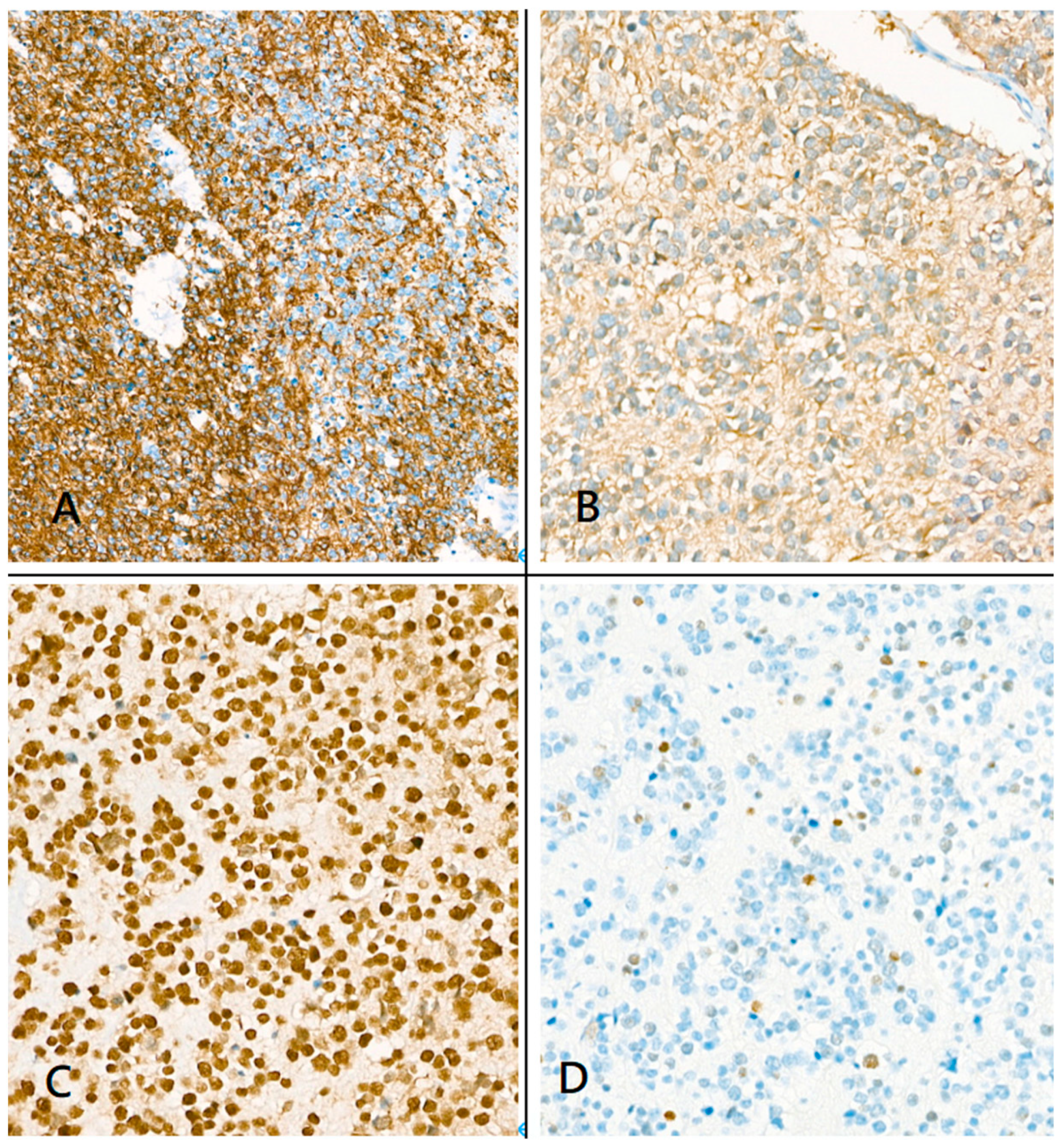 Medicina 59 00331 g006