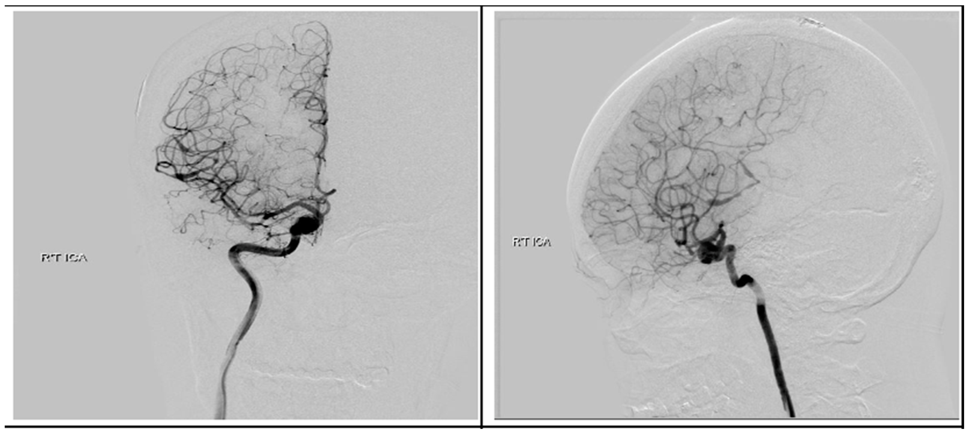 Medicina 59 00331 g009