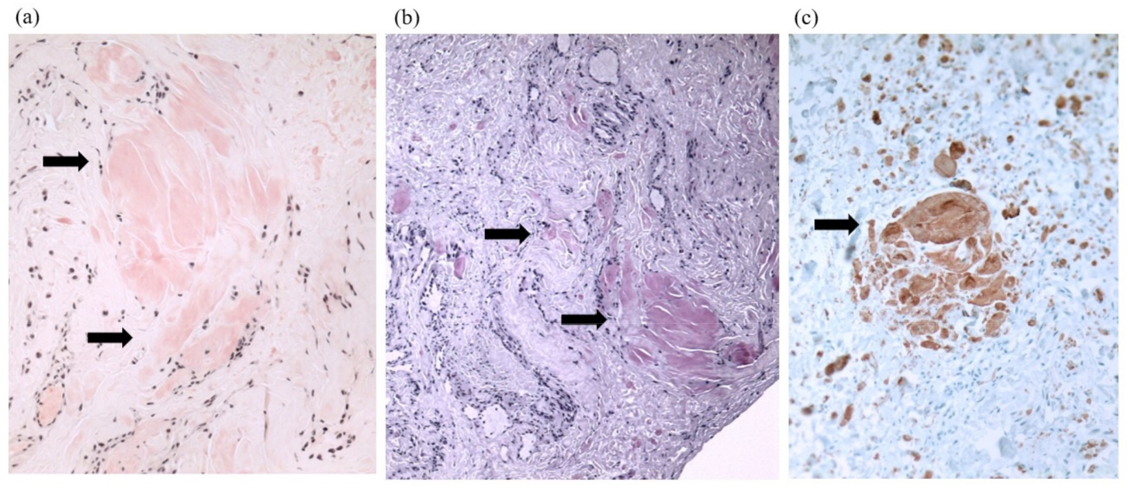 Medicina 59 00335 g001