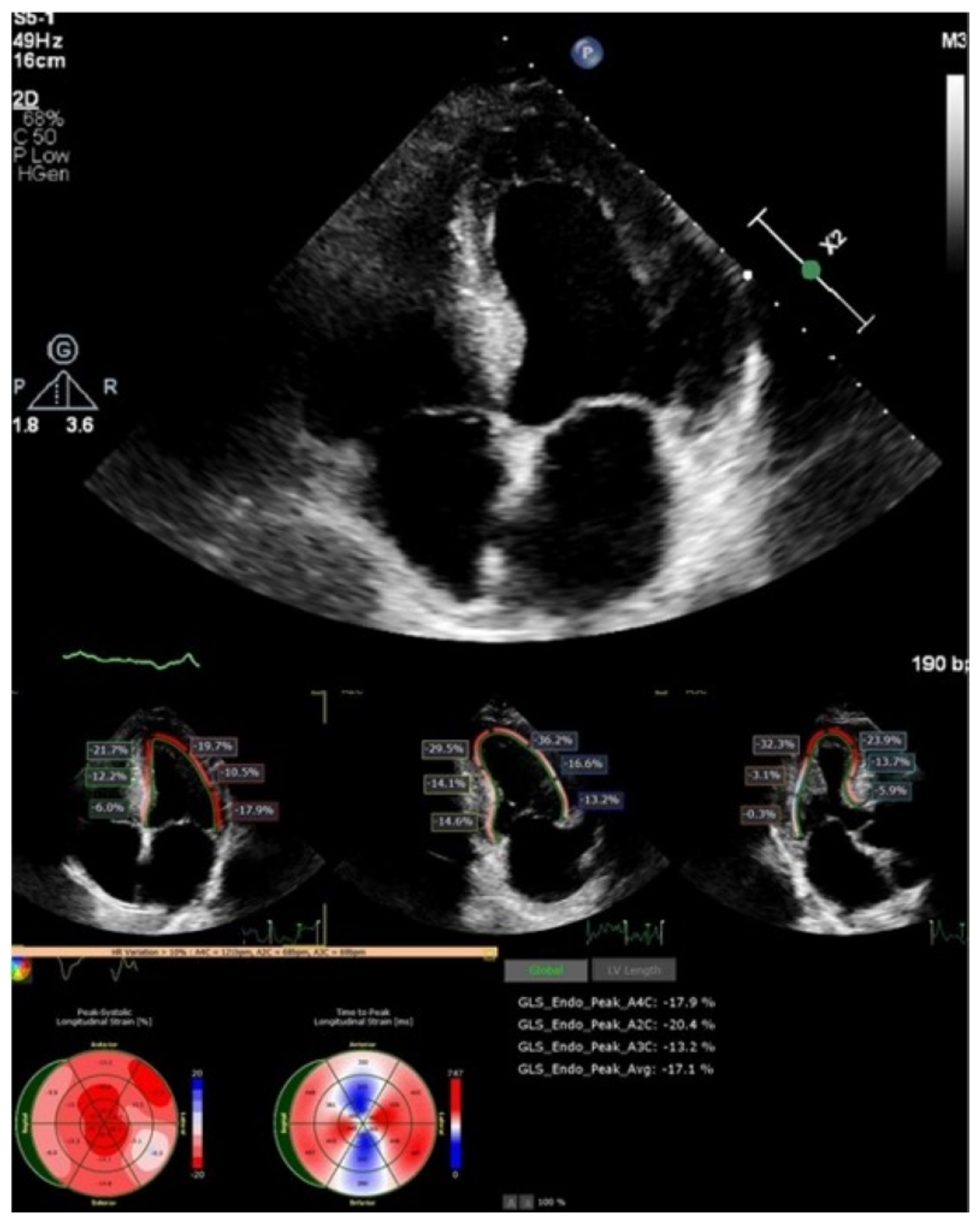 Medicina 59 00335 g003