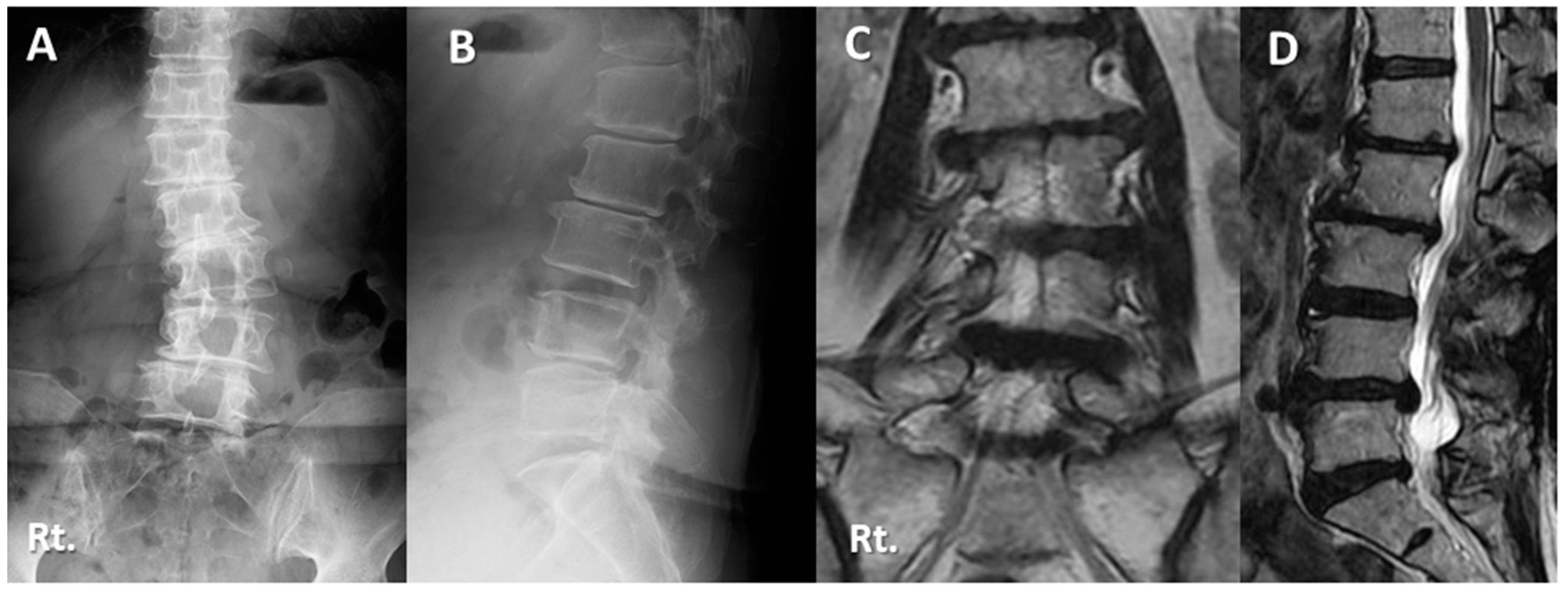 Medicina 59 00342 g004a