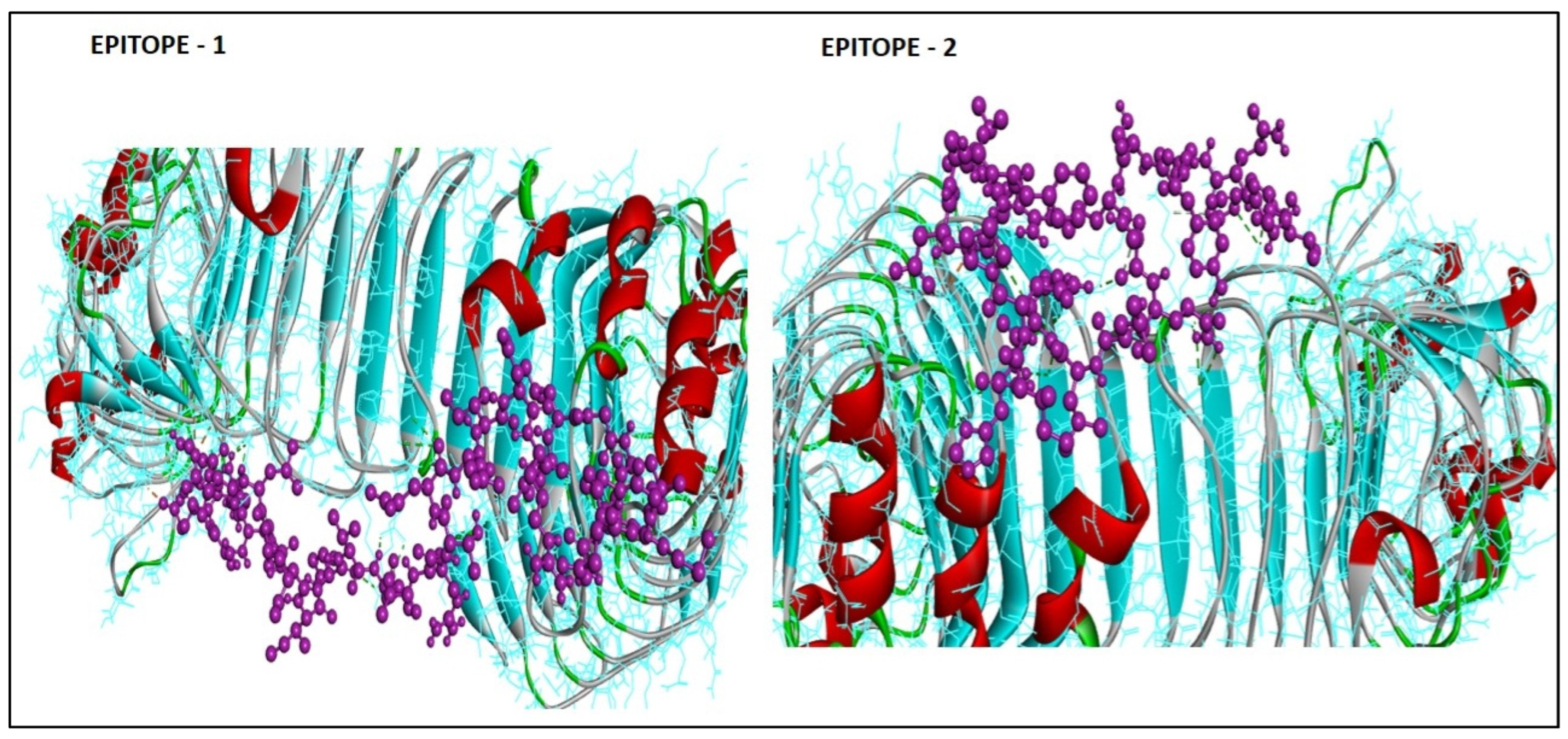 Medicina 59 00343 g003