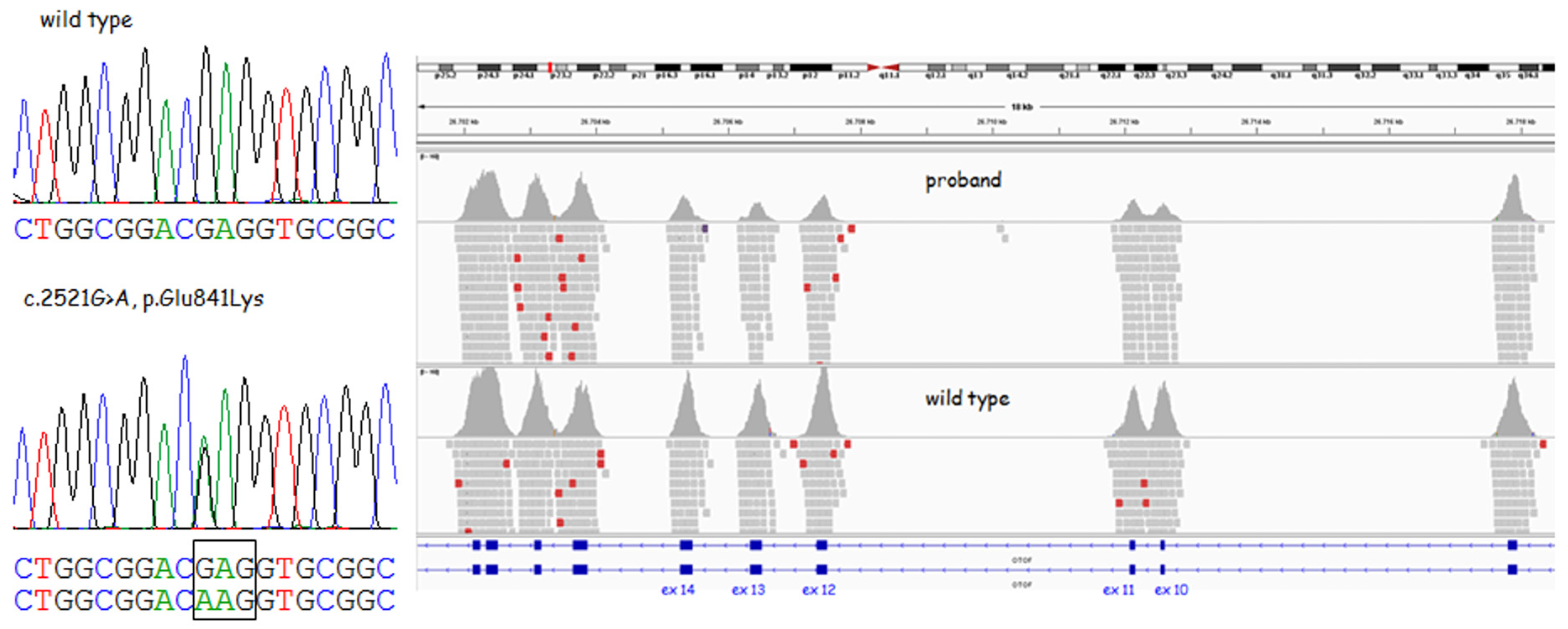 Medicina 59 00352 g003