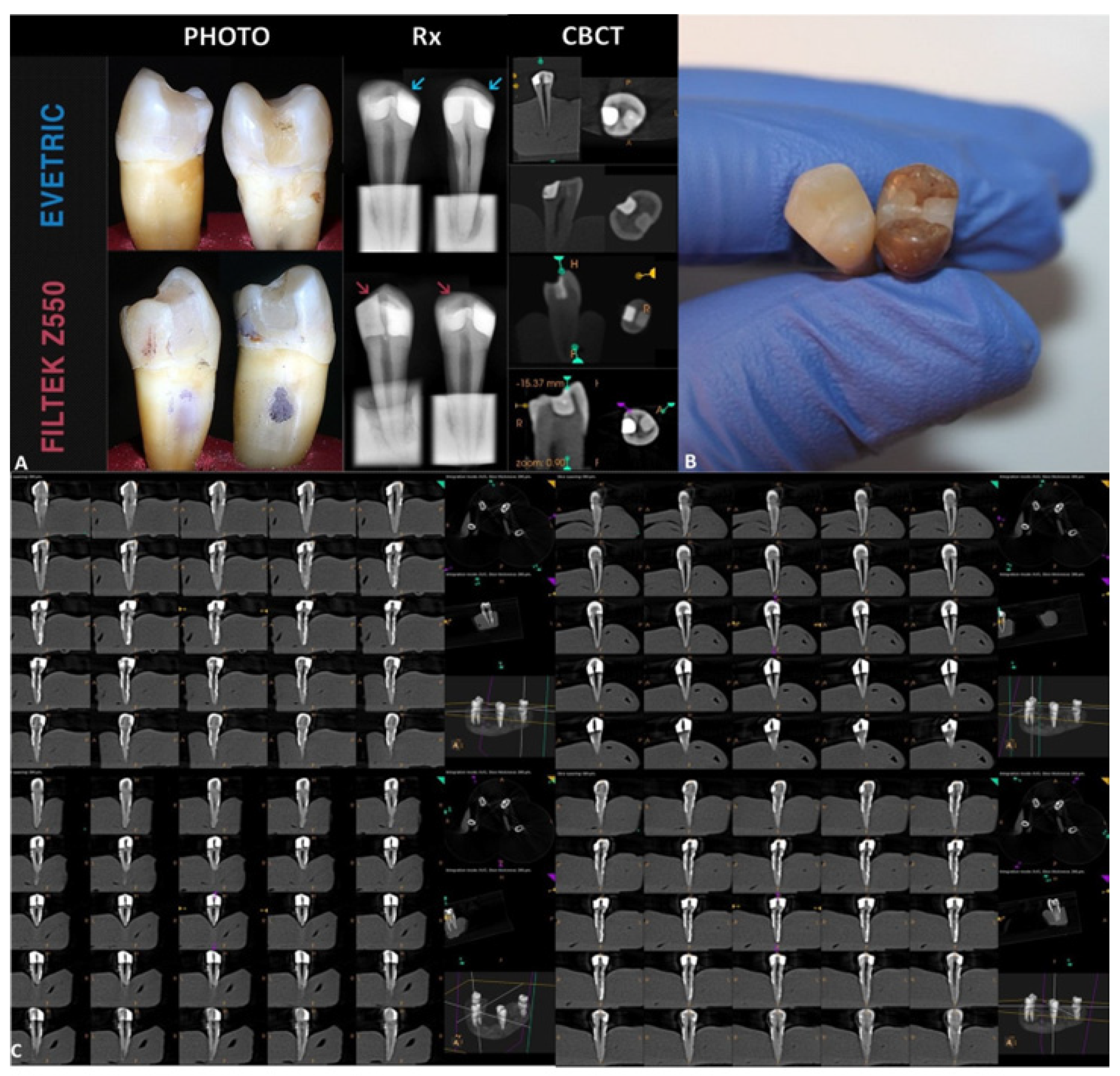 Medicina 59 00360 g005