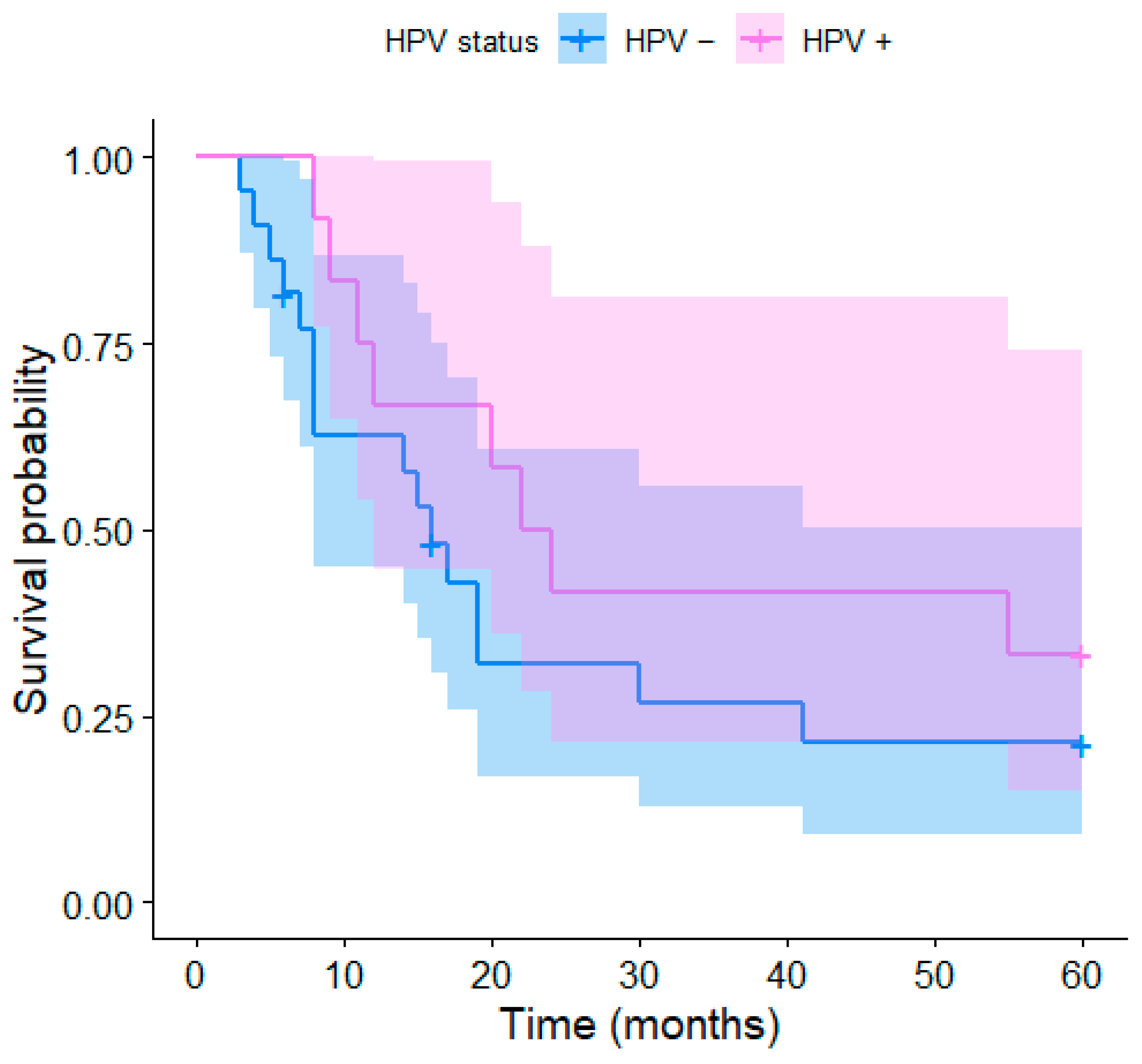 Medicina 59 00361 g003 Medicina 59 00361 g003