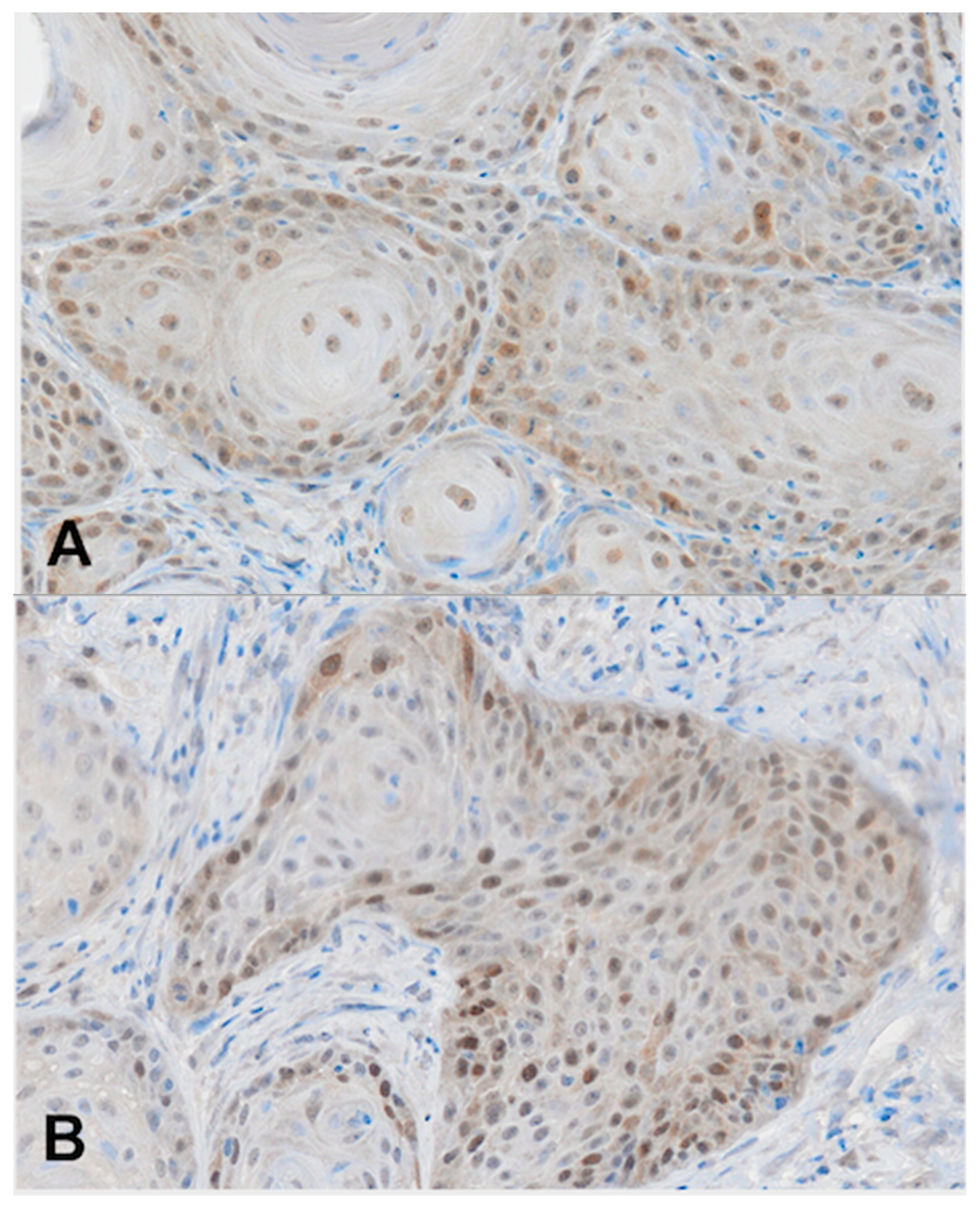 Medicina 59 00361 sch001a Medicina 59 00361 sch001a