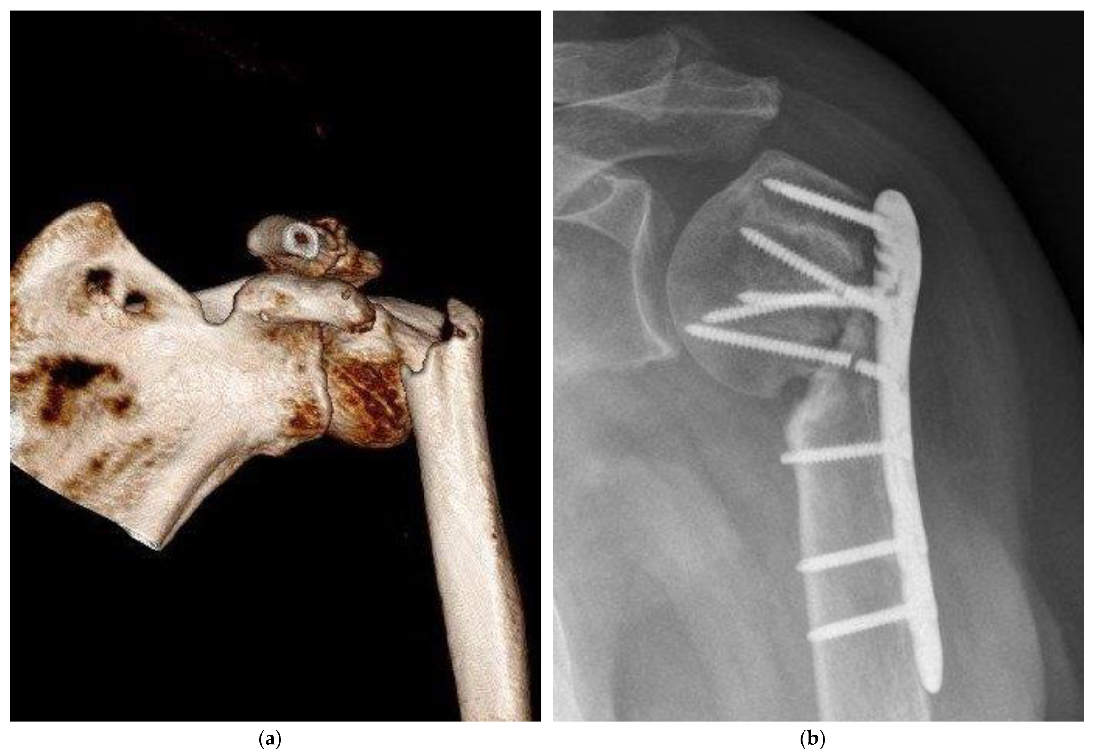 Medicina 59 00365 g003