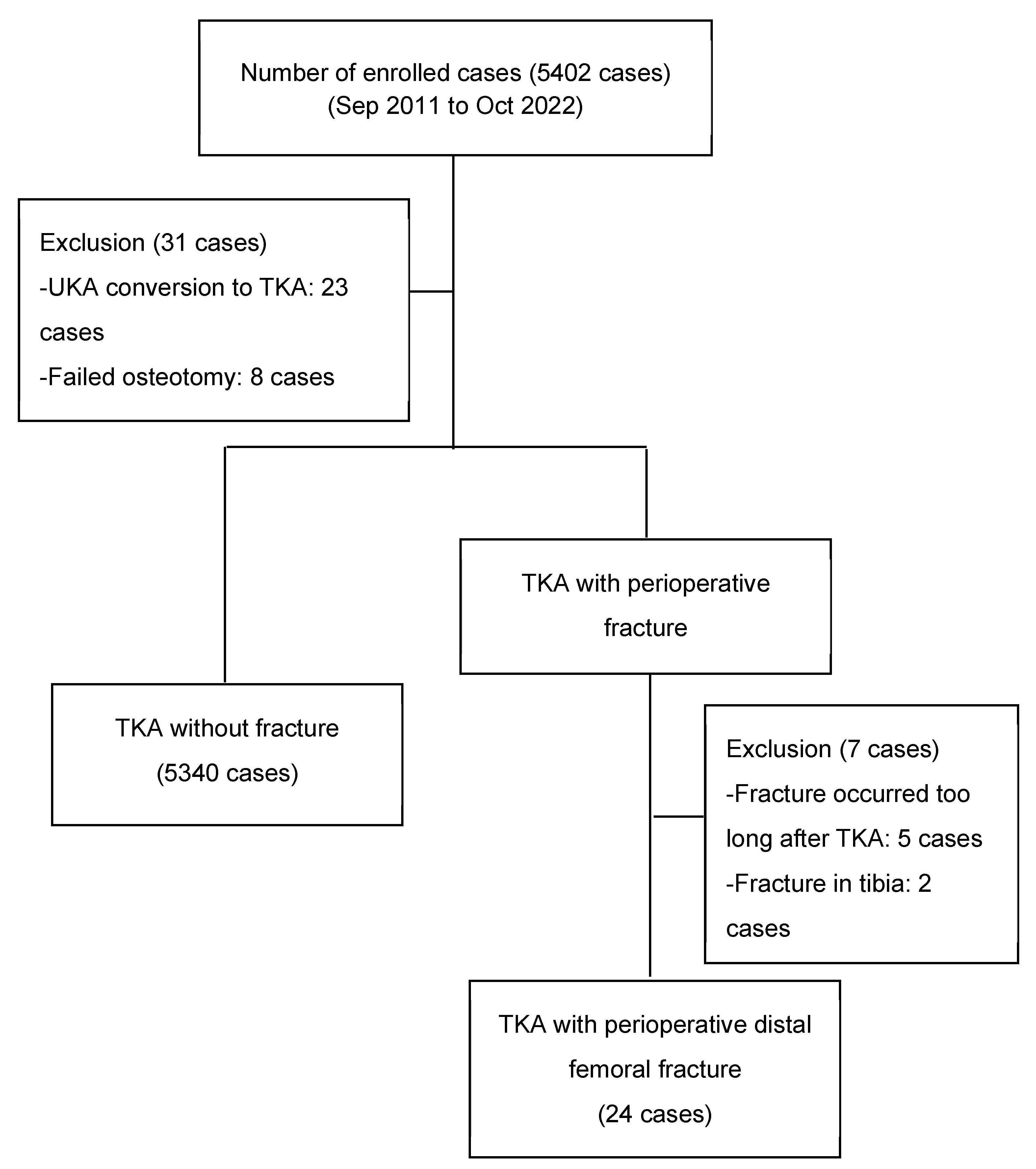 Medicina 59 00369 g001