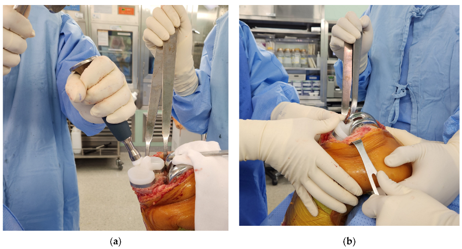 Medicina 59 00369 g002