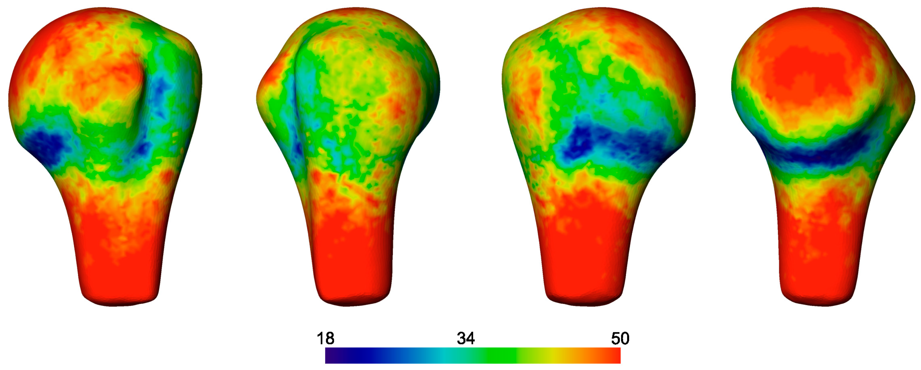 Medicina 59 00370 g008