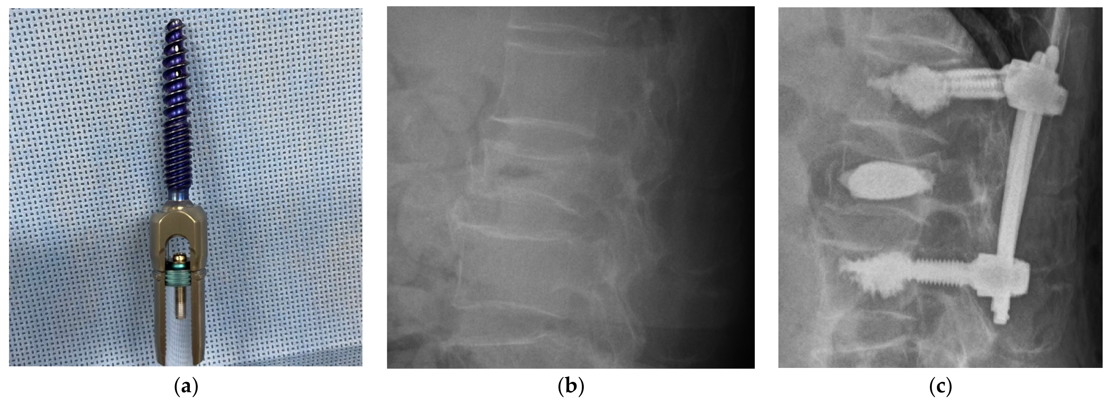 Medicina 59 00407 g001 Medicina 59 00407 g001