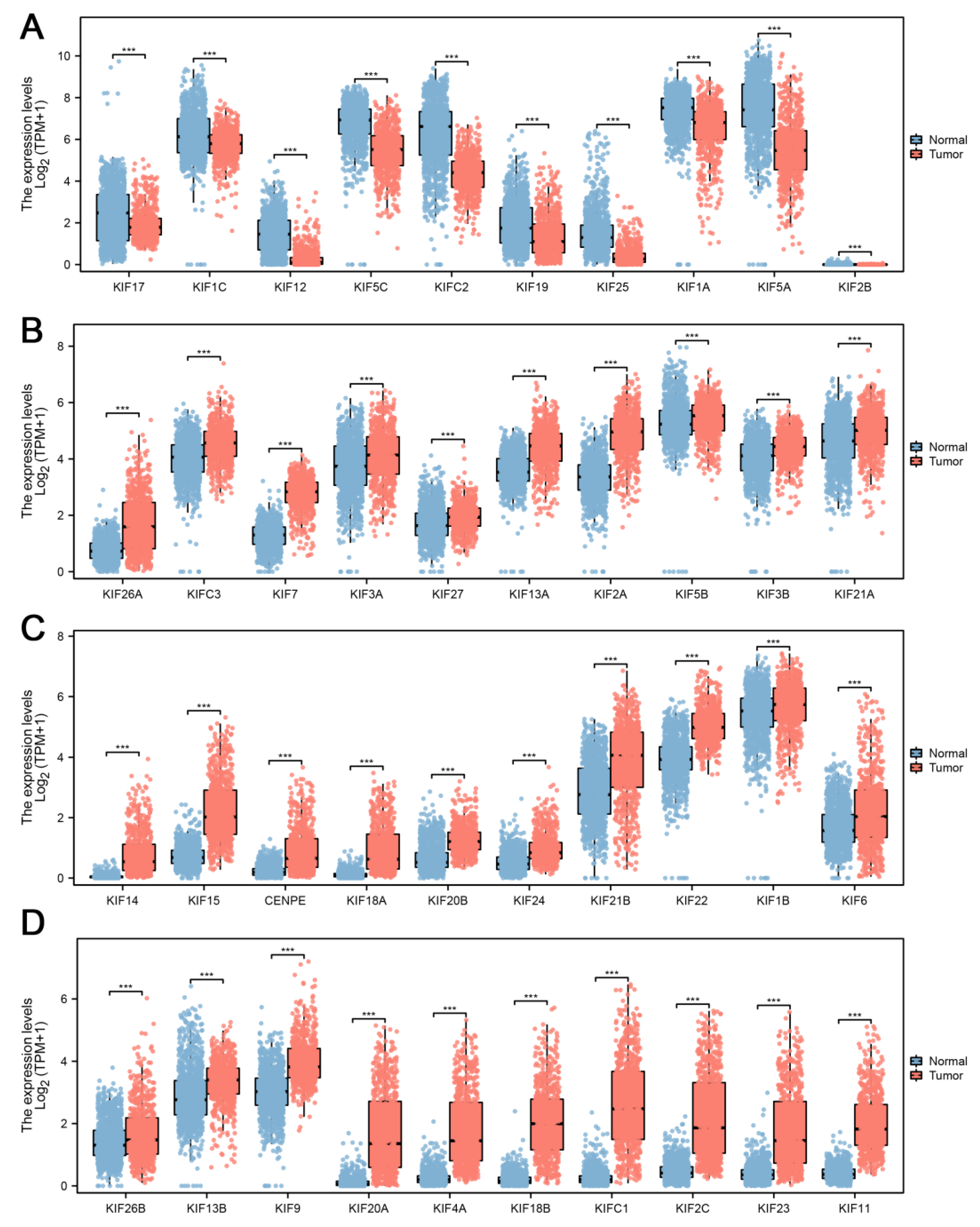 Medicina 59 00414 g002