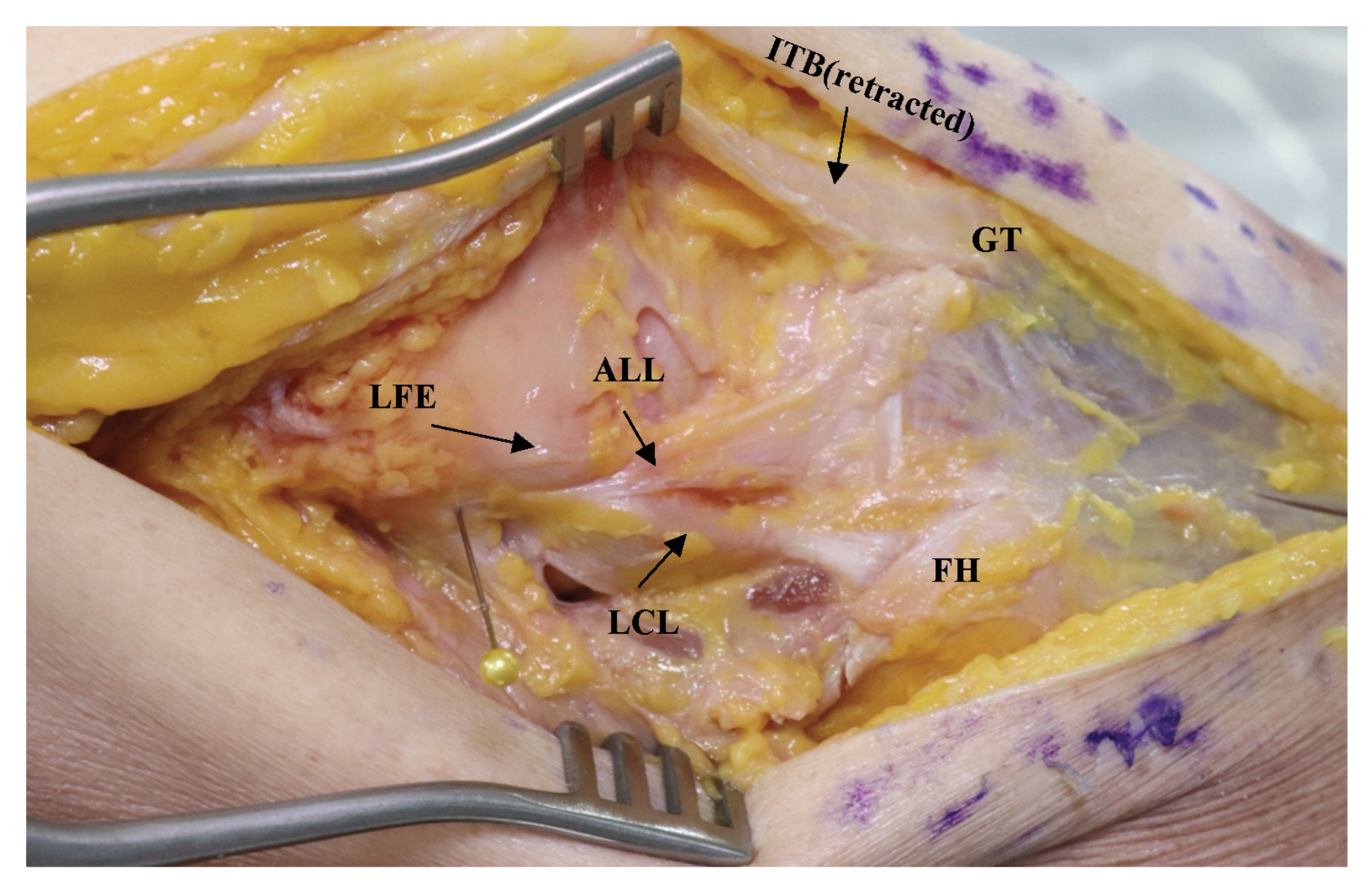 Medicina 59 00419 g001 Medicina 59 00419 g001