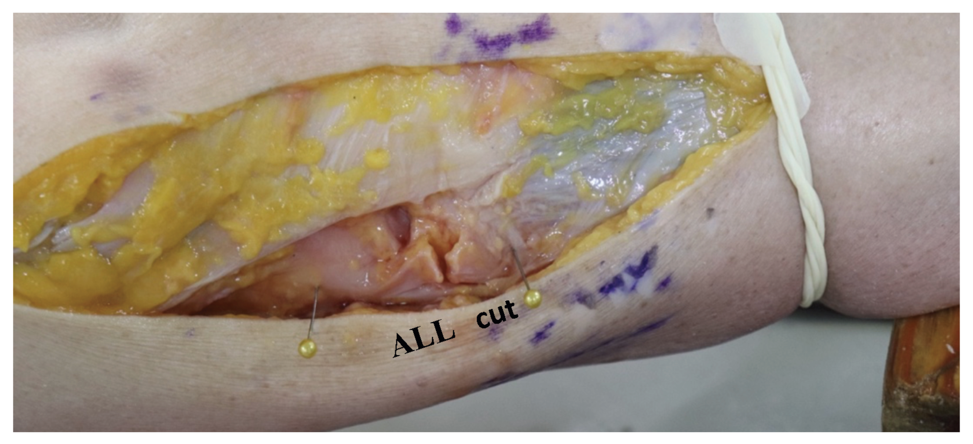 Medicina 59 00419 g002 Medicina 59 00419 g002