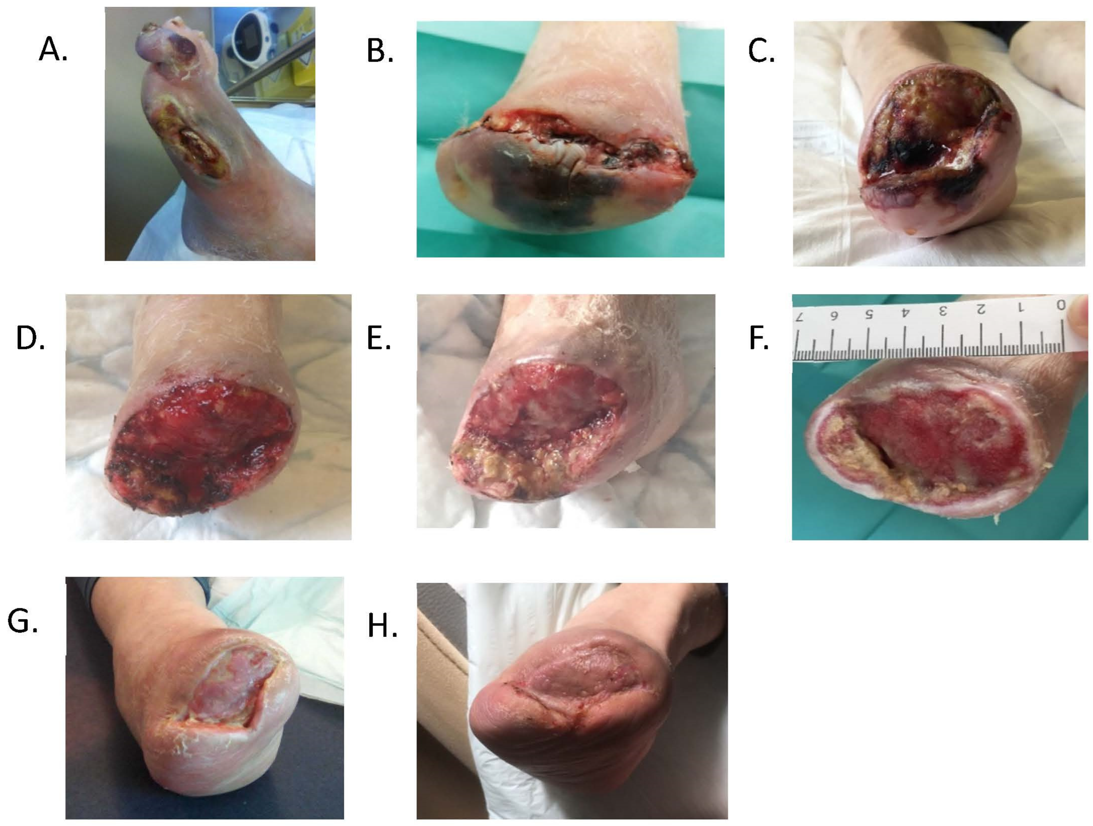 Medicina 59 00430 g002