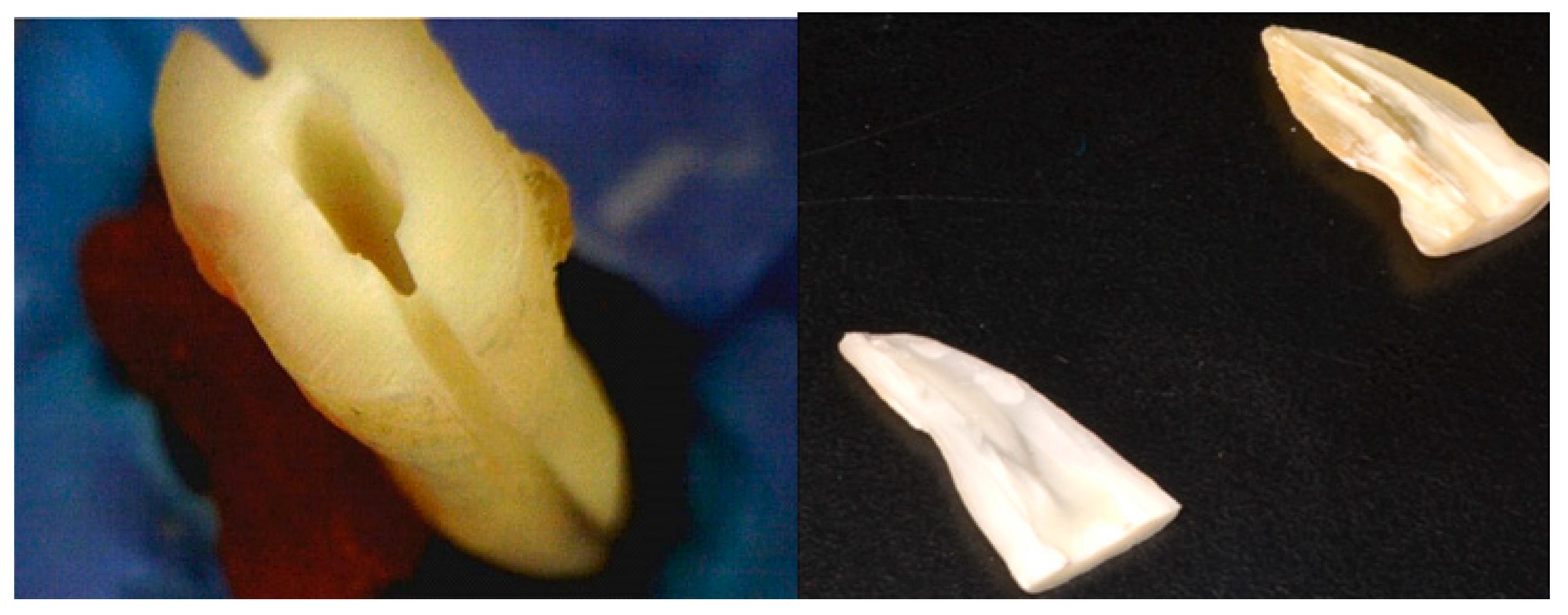 Medicina 59 00433 g001